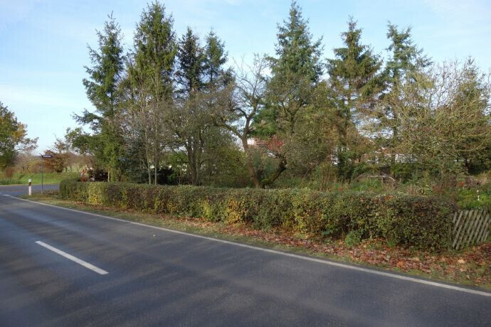 Zweispurige Straße mit dichter Hecke rechts, dahinter Baumgruppe und Häuser.