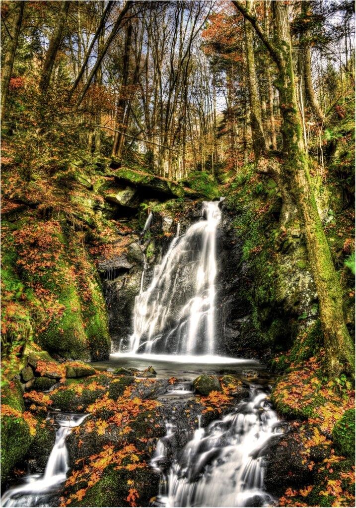 Herbstwald mit kleinem Wasserfall über Moosfelsen und bunten Blättern.