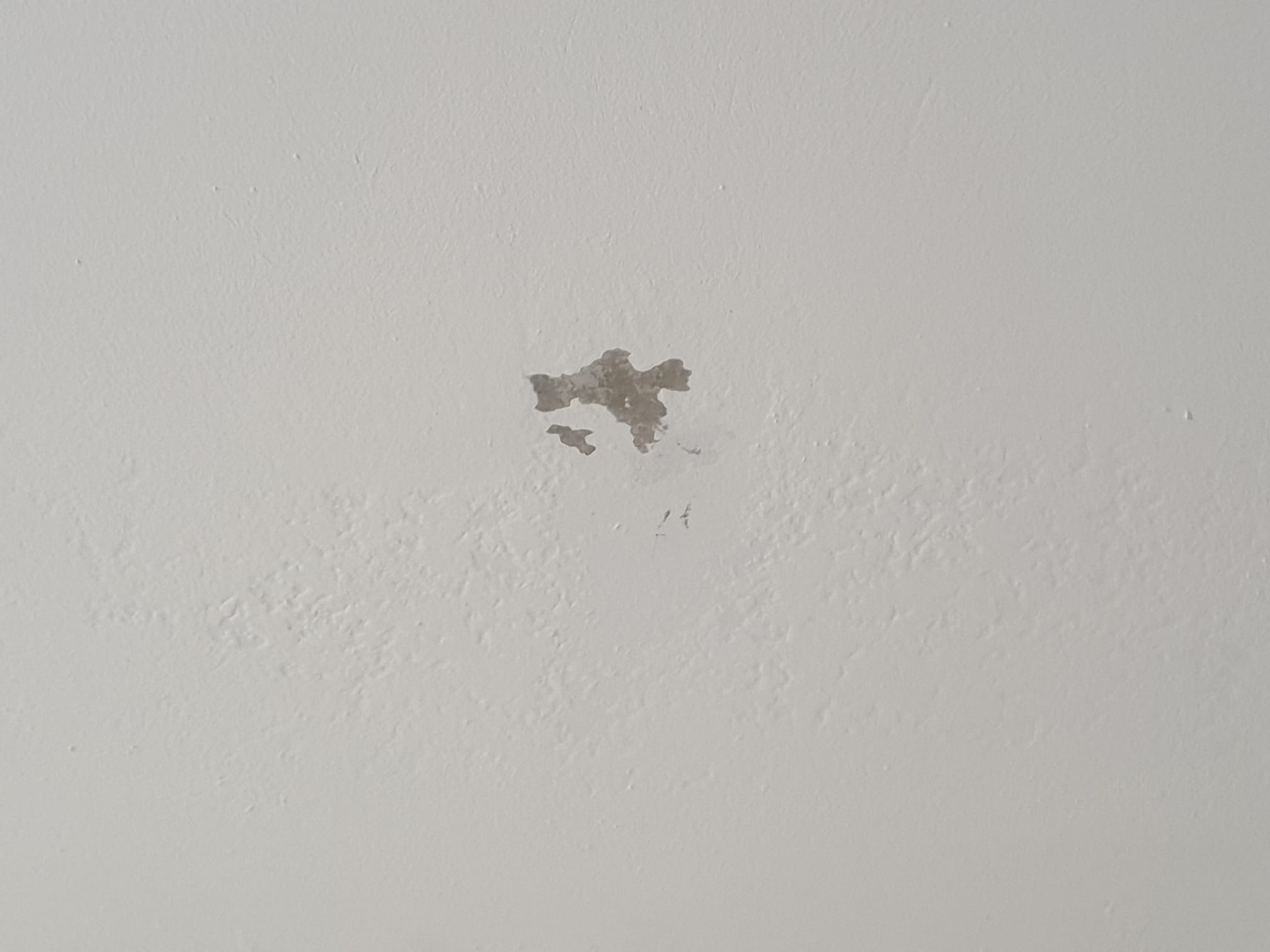 hilfe-bei-schaloelflecken-auf-erdgeschossdecke-626508-2.jpg