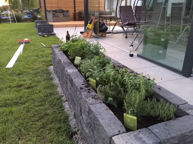 Beet aus Betonquadern mit Kräutern direkt neben Glasfassade, Gartenmöbel im Hintergrund.