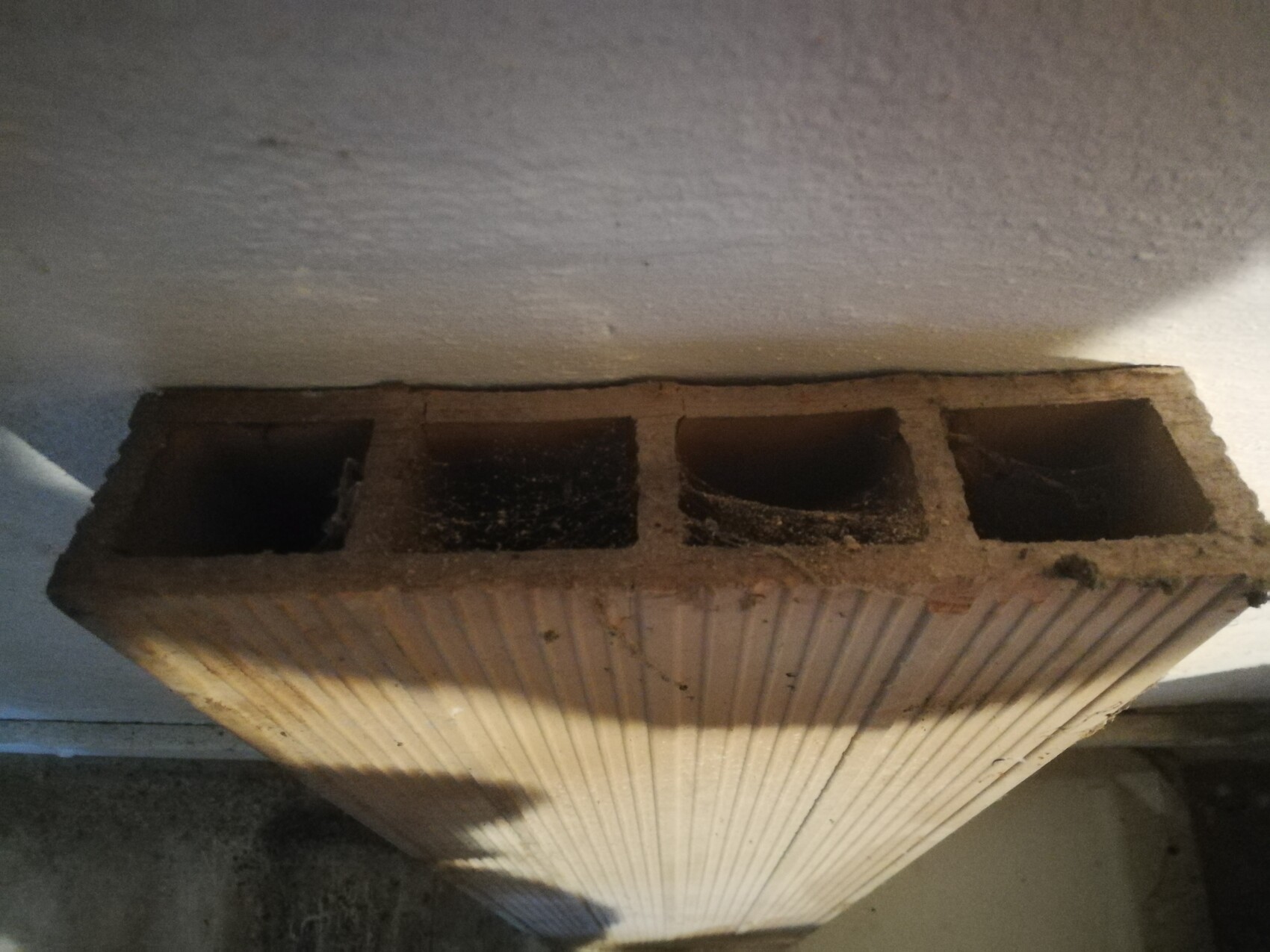 Hohlblockziegel mit vier Hohlräumen liegt an einer Wandkante im Innenbereich.
