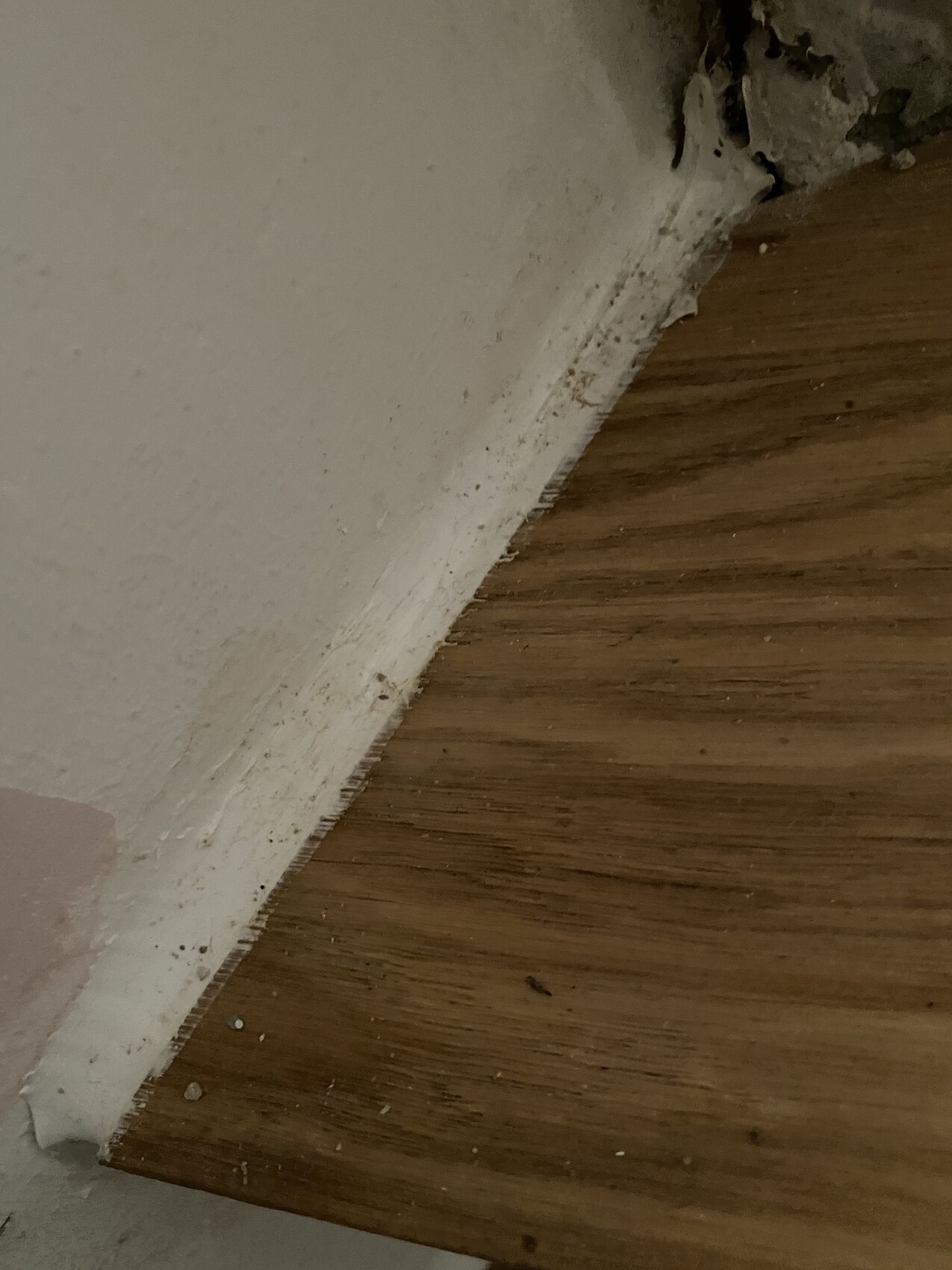 Holzfußboden an einer weißen, beschädigten Wandseite mit staubiger Sockelleiste in der Ecke.