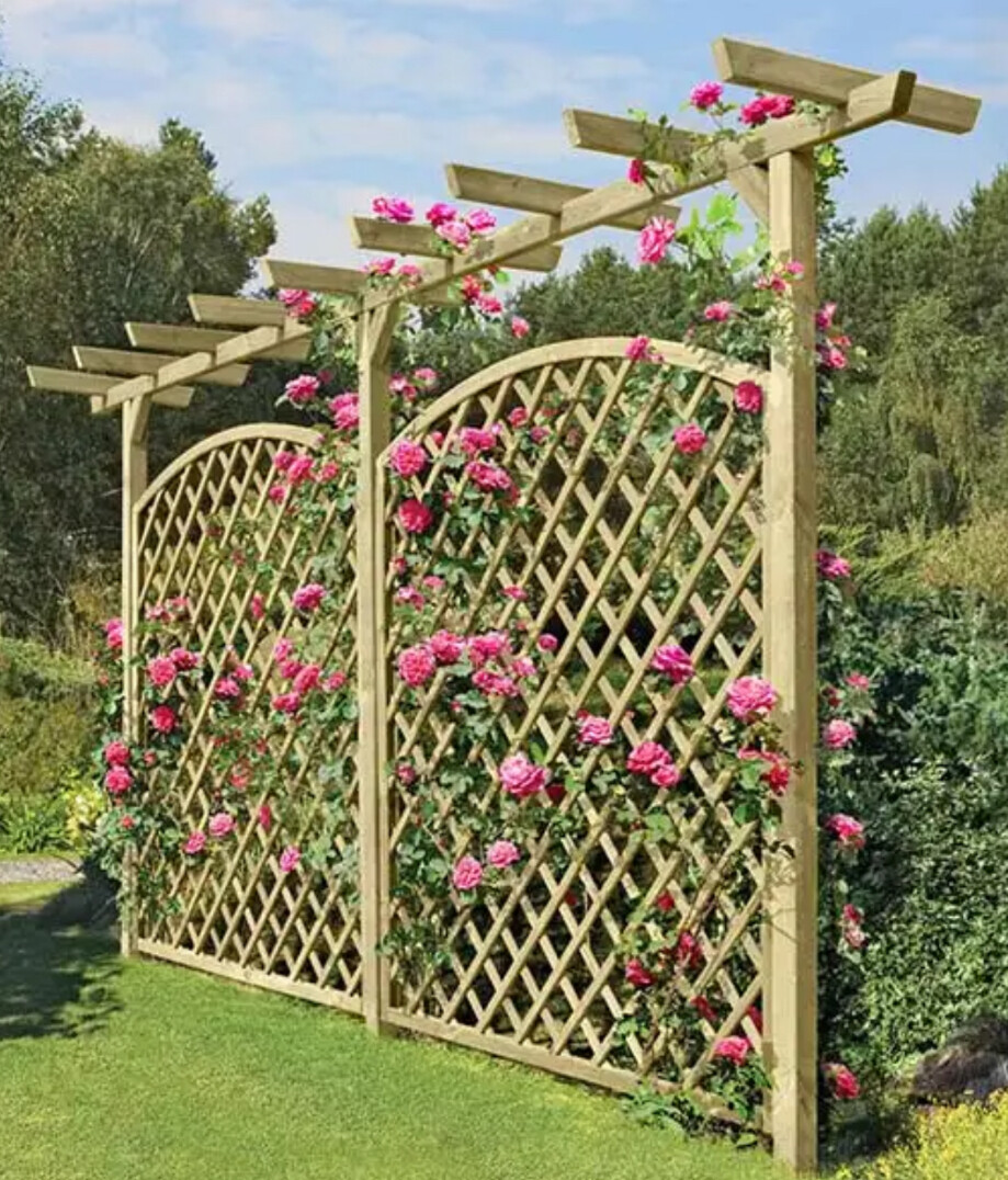 Holz-Pergola mit pinken Rosen an einem Gitterzaun im Garten.
