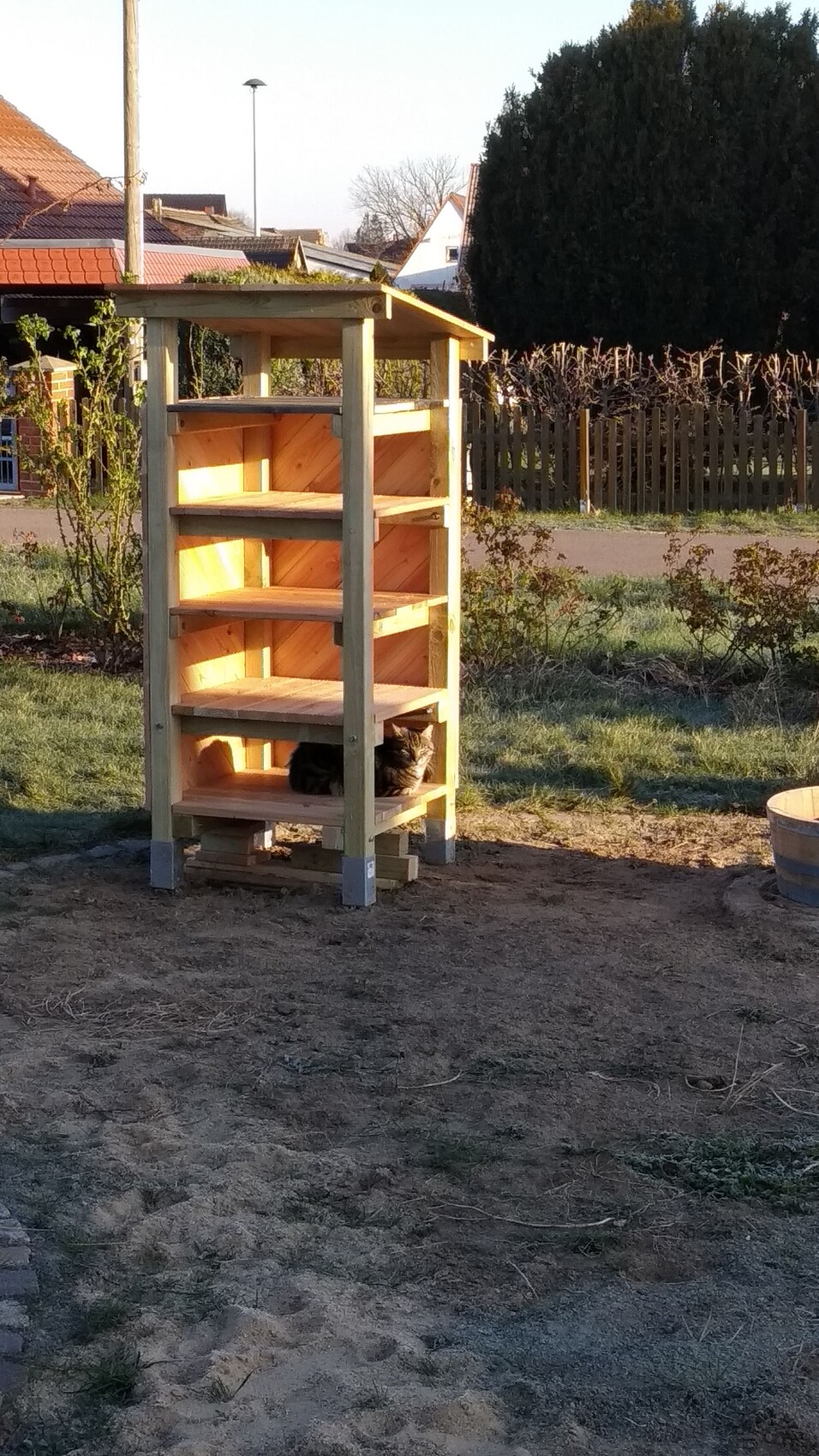 Holzregal im Garten mit mehreren Ebenen; Katze ruht auf der unteren Ablage im Sonnenlicht.