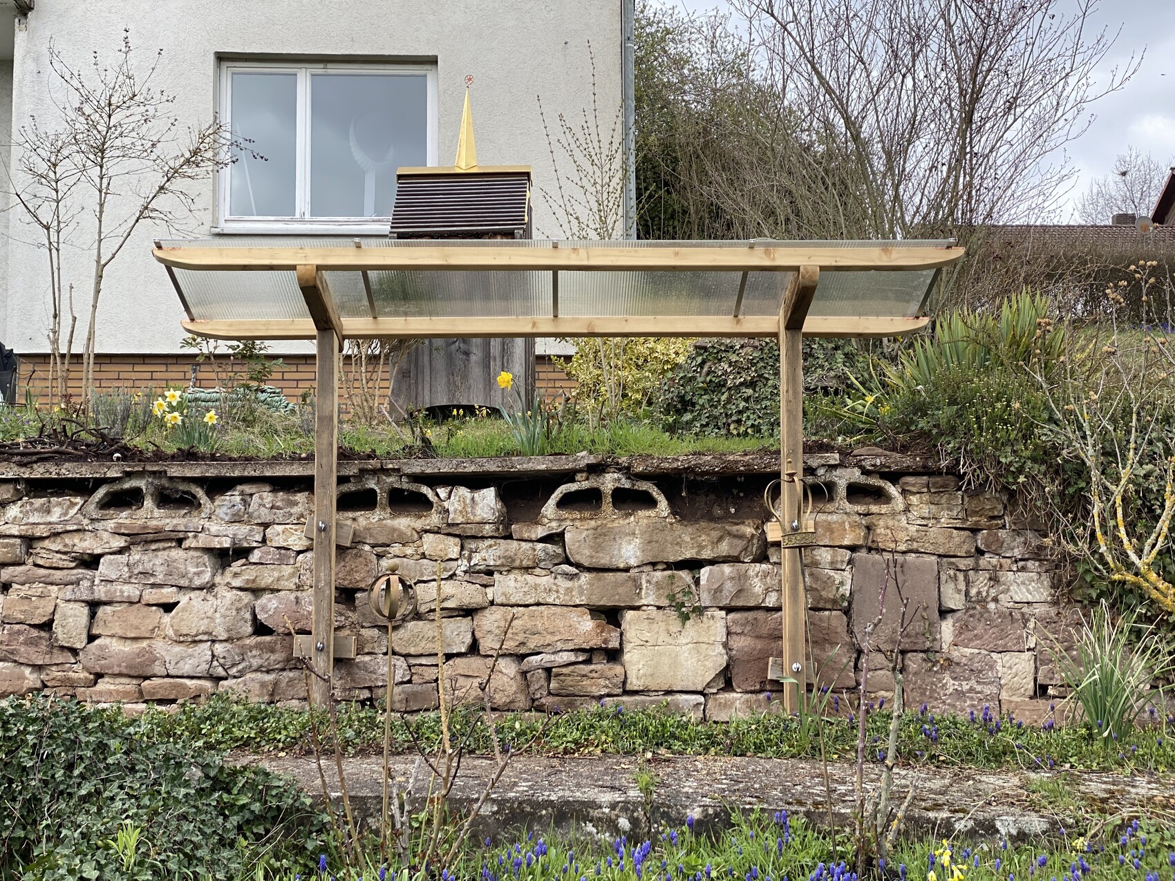Garten mit Steinmauer und Holz-Pavillon mit durchsichtigem Dach; Narzissen blühen, Haus dahinter.
