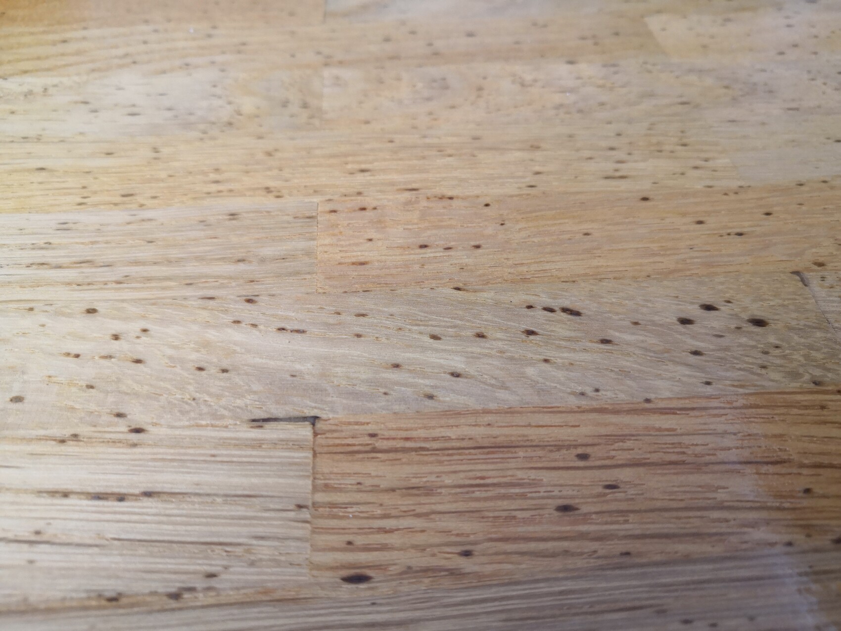 Holzfußboden aus mehreren Brettern, sichtbare Maserung und viele dunkle Nägel- bzw. Lochmarken.