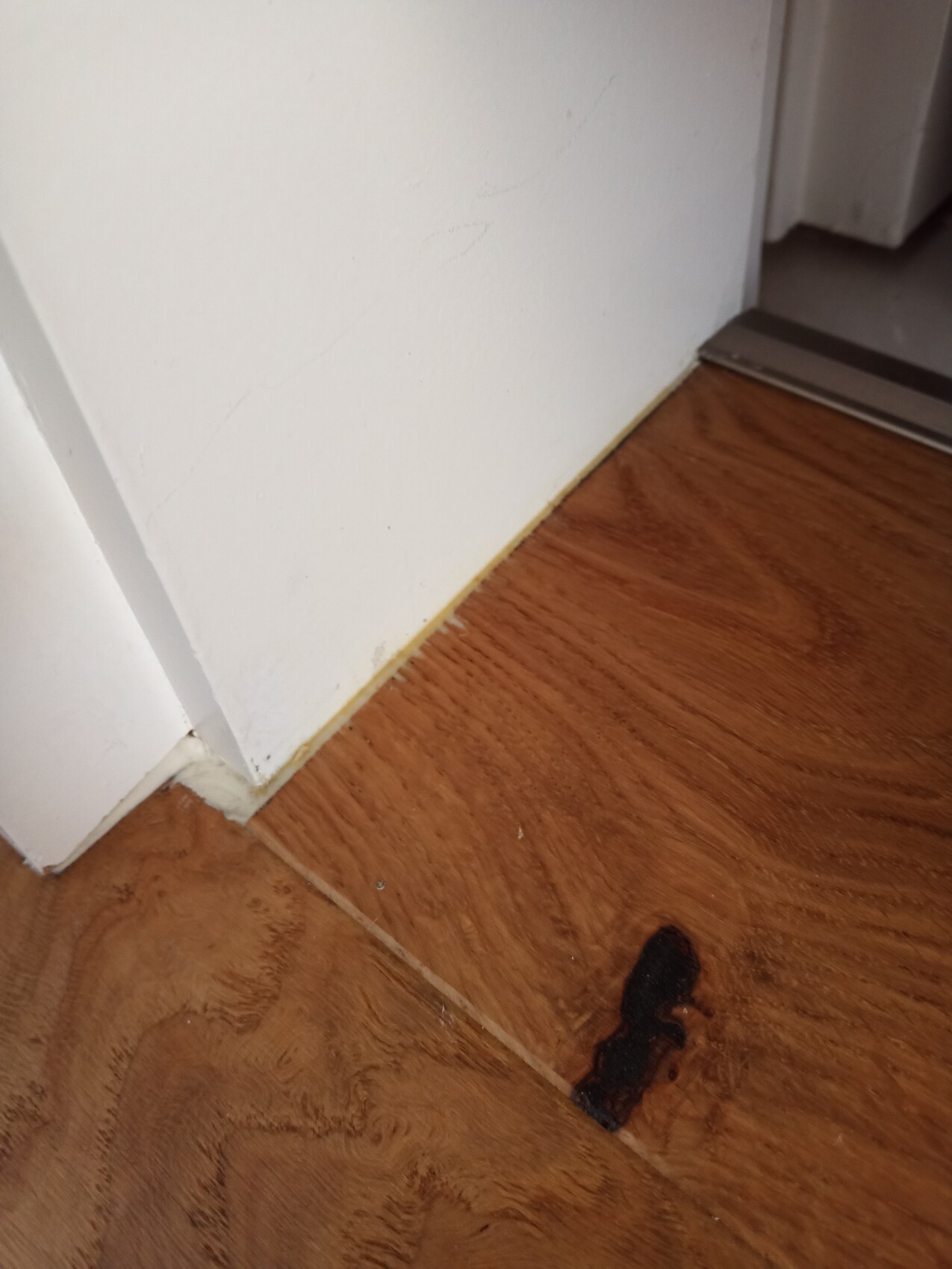 Ecke einer weißen Wand mit Holzboden; kleiner schwarzer Fleck auf dem Boden nahe der Tür.