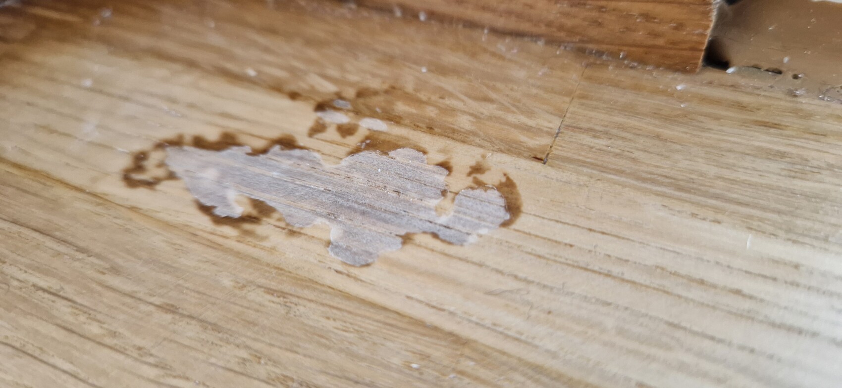 Holzfußboden mit abgeplatzter Oberflächenbeschichtung; freigelegtes helles Holz im Zentrum.