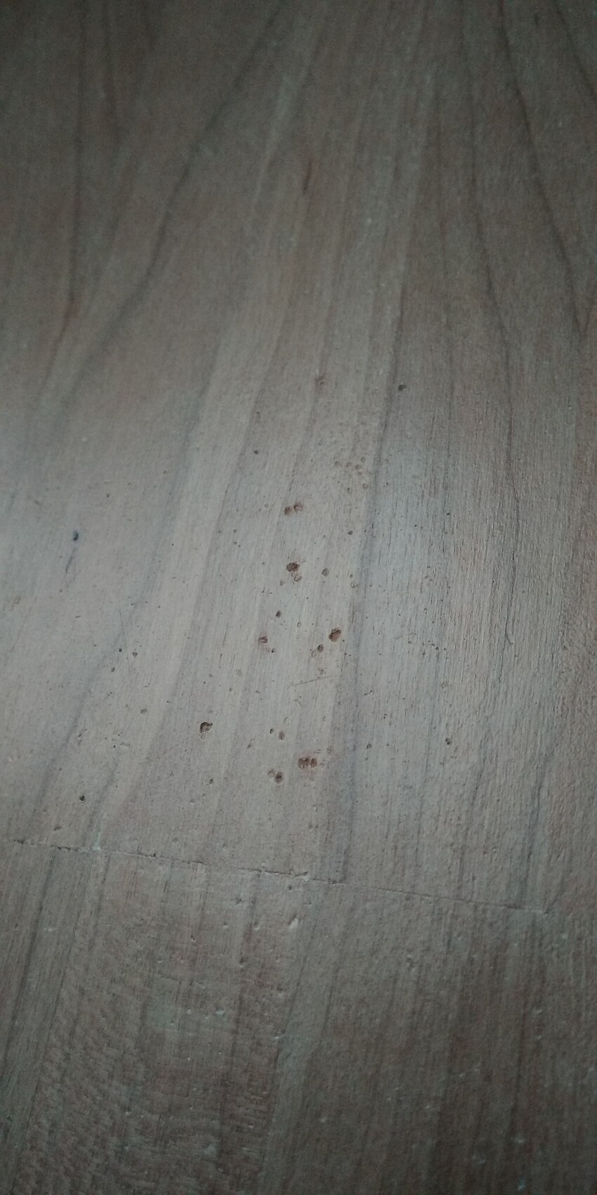 Holzboden mit kleinen braunen Flecken auf der Holzoberfläche.