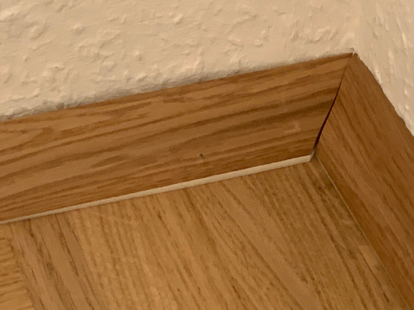 Eckbereich eines Zimmers mit Holzboden, Holzfußleiste und weißer Leistenkante an der Wand.