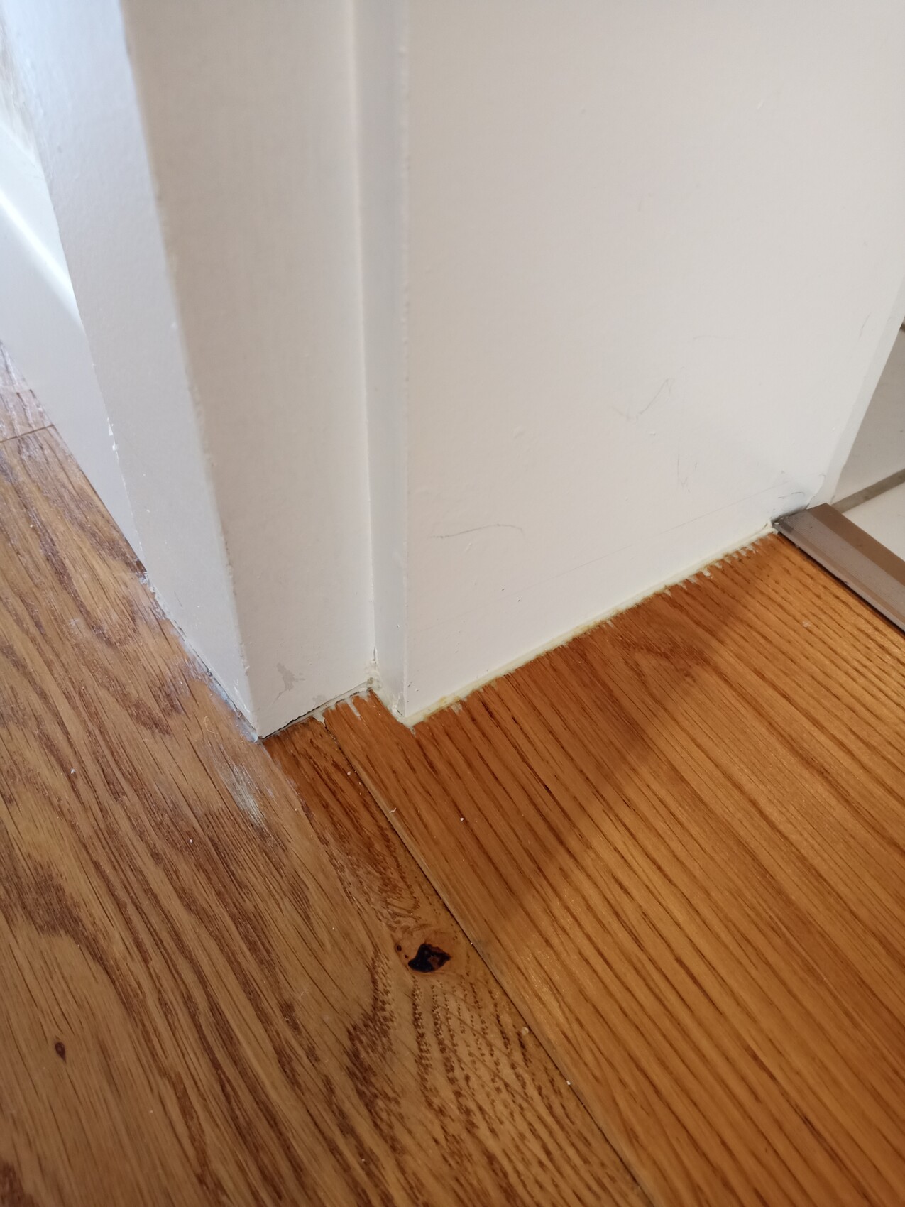 Eckansicht: Weiße Wand mit Sockel trifft Holzfußboden in der Ecke; Kratzer sichtbar.
