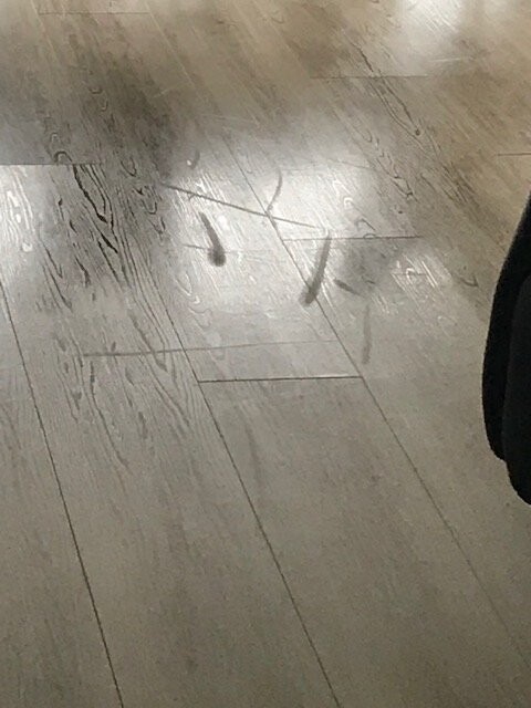 Hellgrauer Holzboden mit Kratzspuren; rechts ein dunkler Schuh sichtbar.