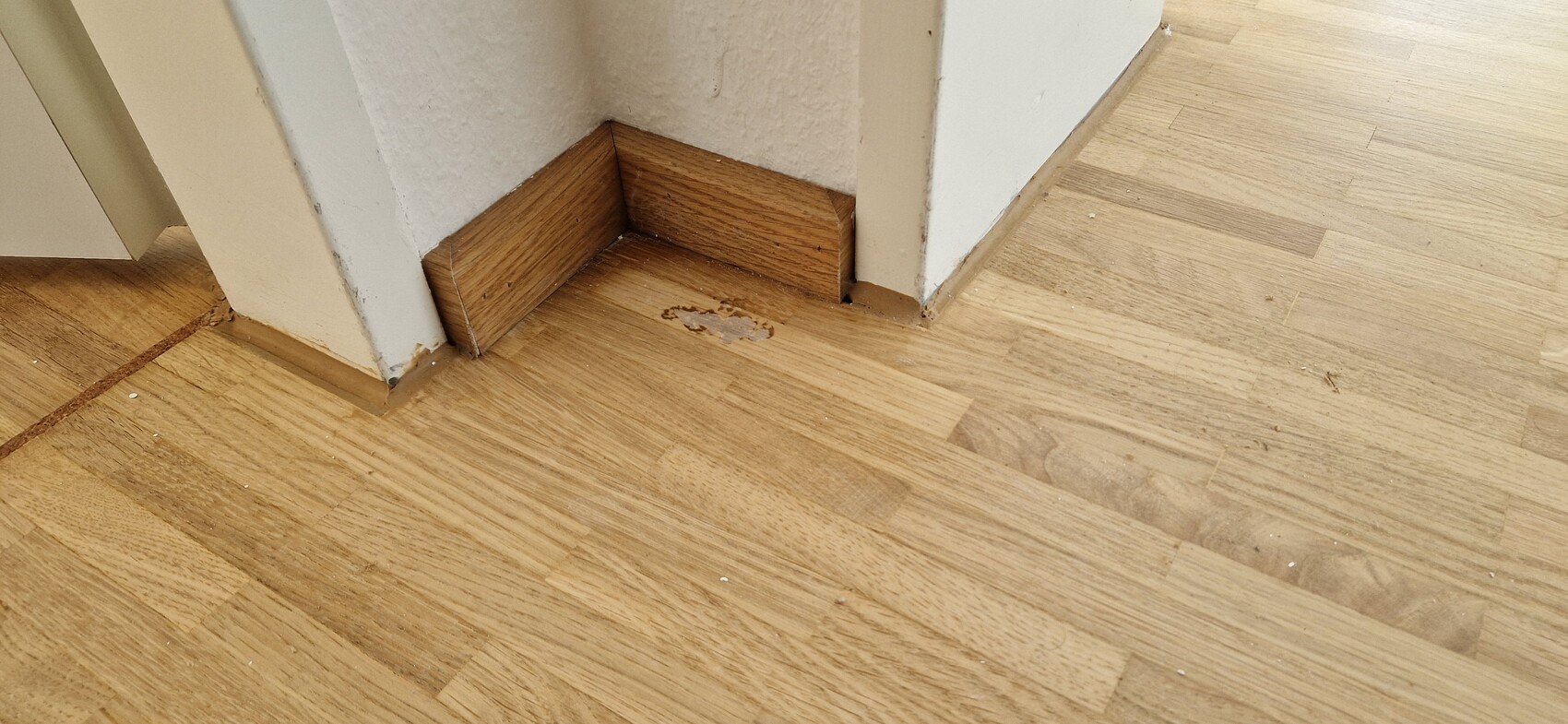 Eckbereich eines Zimmers mit Laminatboden; Kratzer/Abplatzung nahe der Sockelleiste.