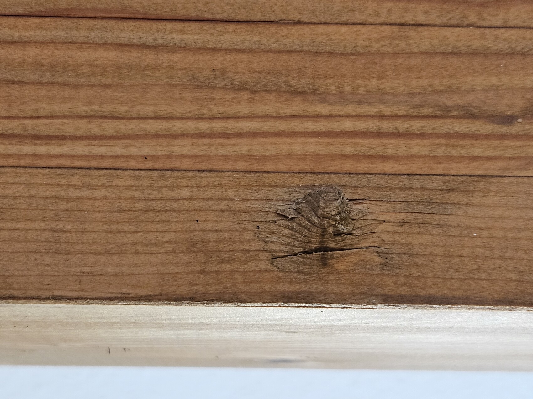 Holzbrett mit deutlich sichtbarer Maserung und kleinem Riss bzw. Knoten in der Mitte.
