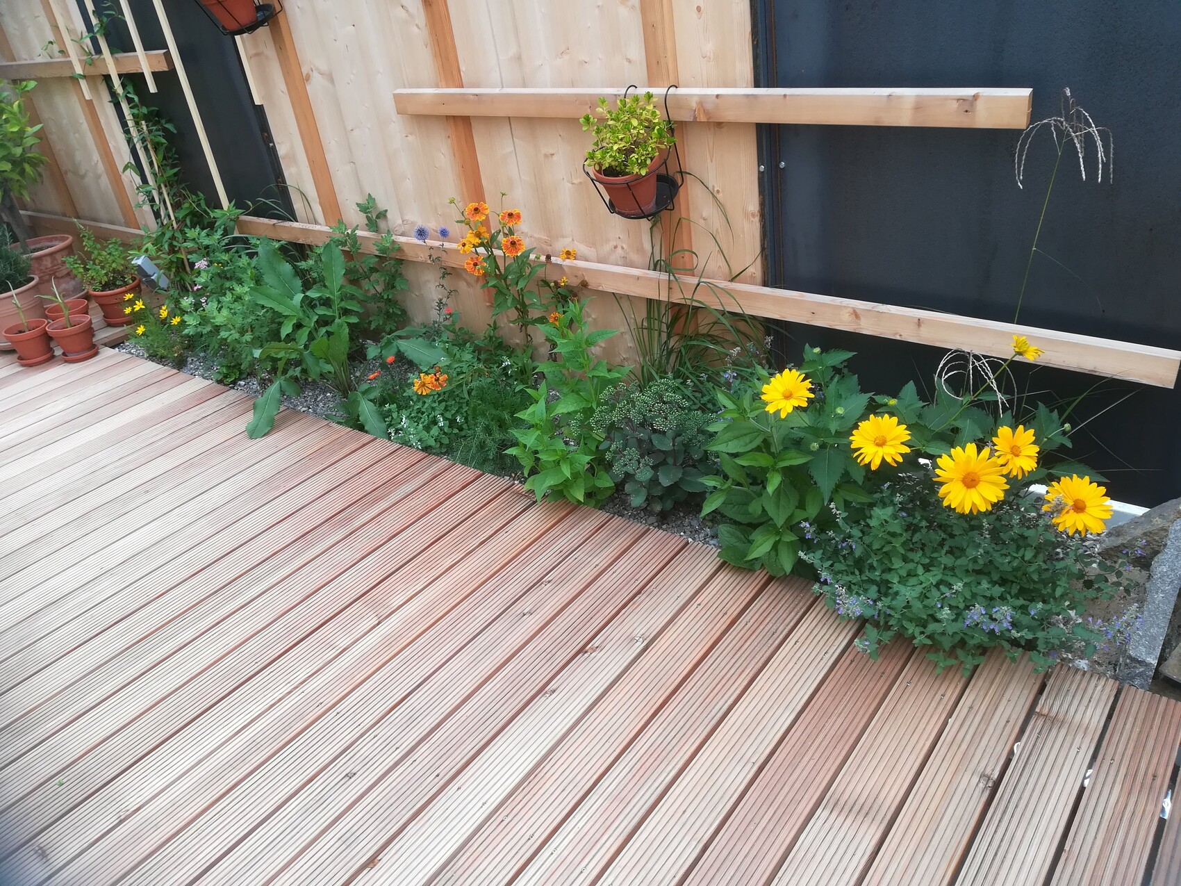 Holzdeck neben Zaun mit langem Blumenbeet: gelbe Sonnenblumen, orange Blüten, grüne Blätter.
