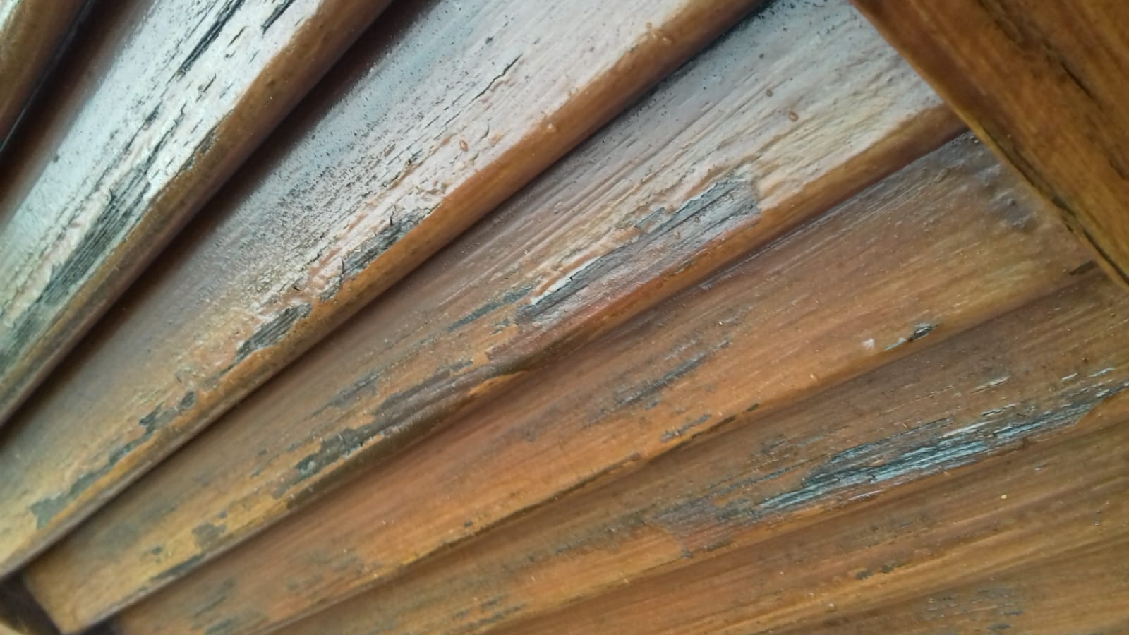 holzfenster-und-holzklapplaeden-renovieren-bitte-um-hilfe-576275-1.jpg