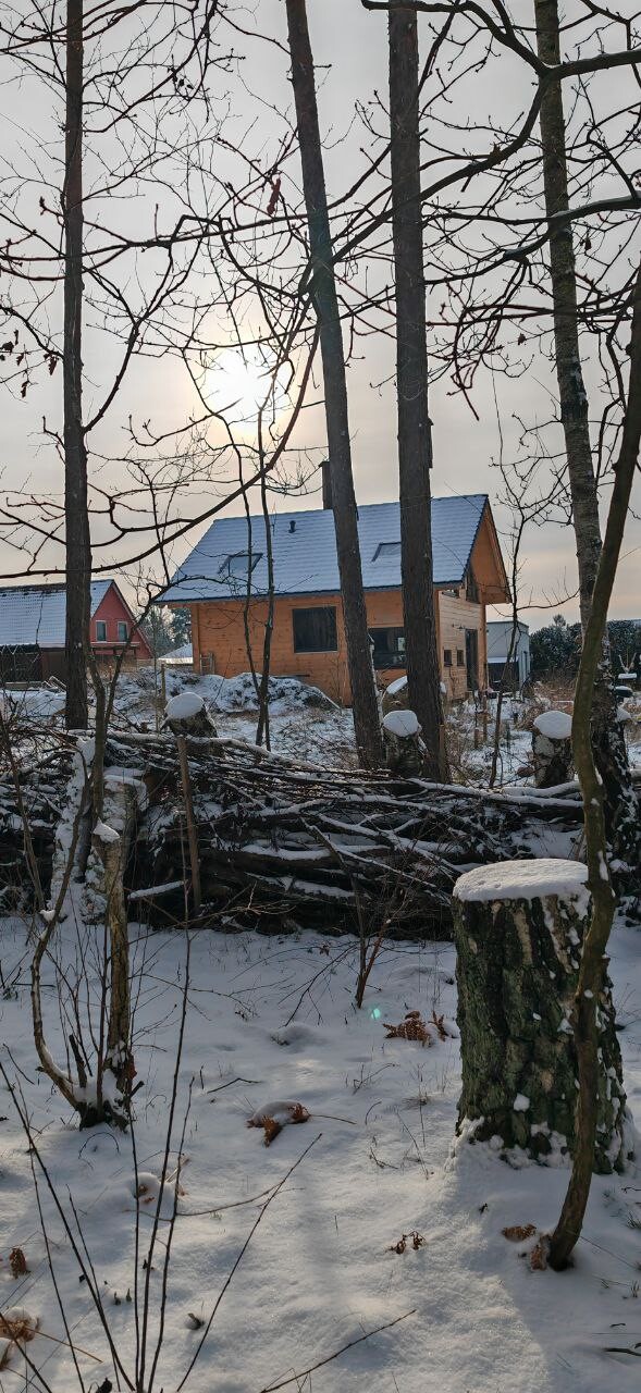 Holzhaus im verschneiten Wald, blaues Dach, Bauholzstapel im Vordergrund, Wintersonne