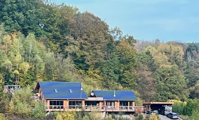 Holzhaus-Kabinen mit blauen Dächern am Waldrand, von Herbstbäumen umgeben; Autos am Uferweg.
