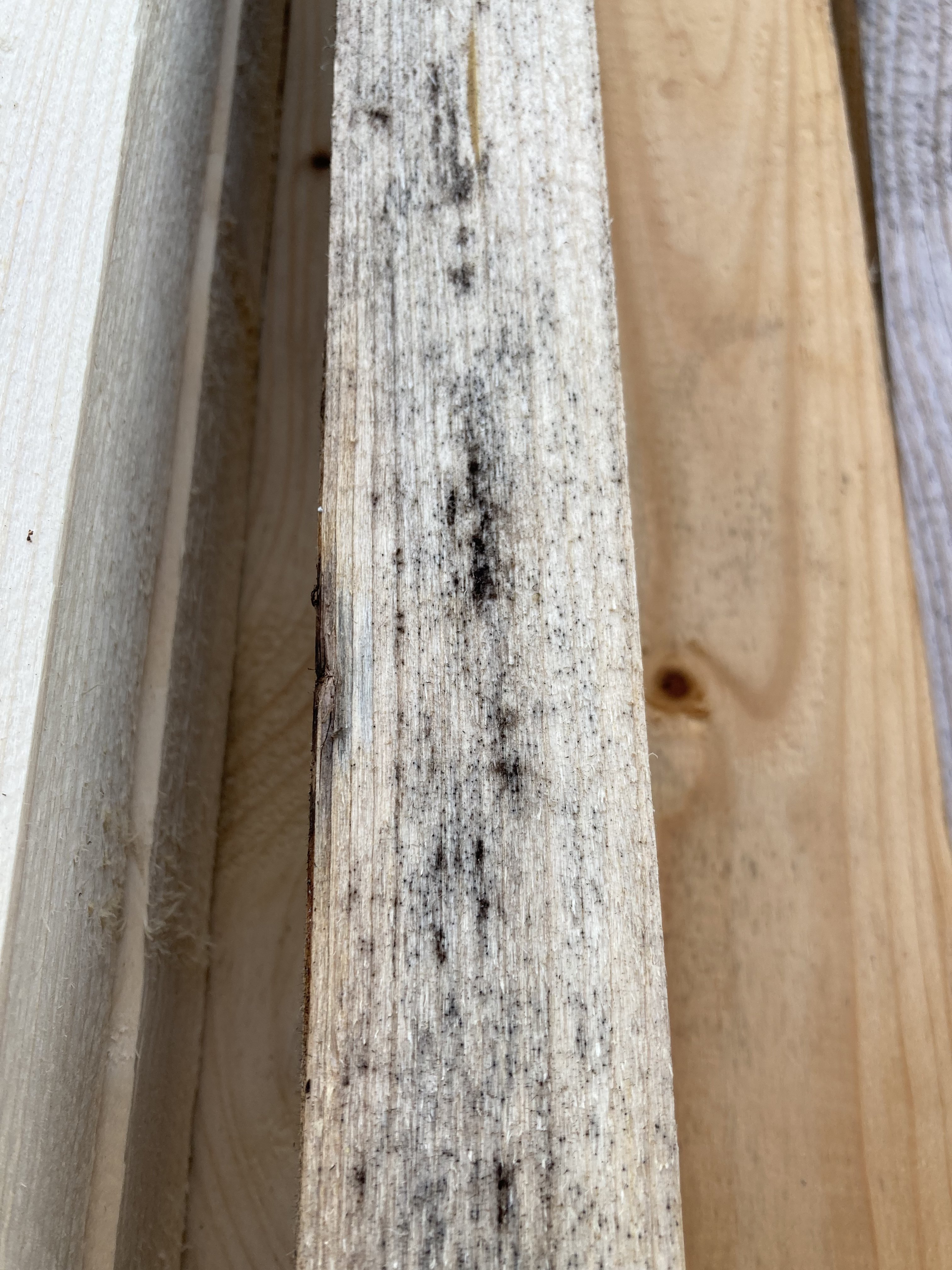 holzlatten-haben-verfaerbungen-sind-die-ok-599682-1.jpeg