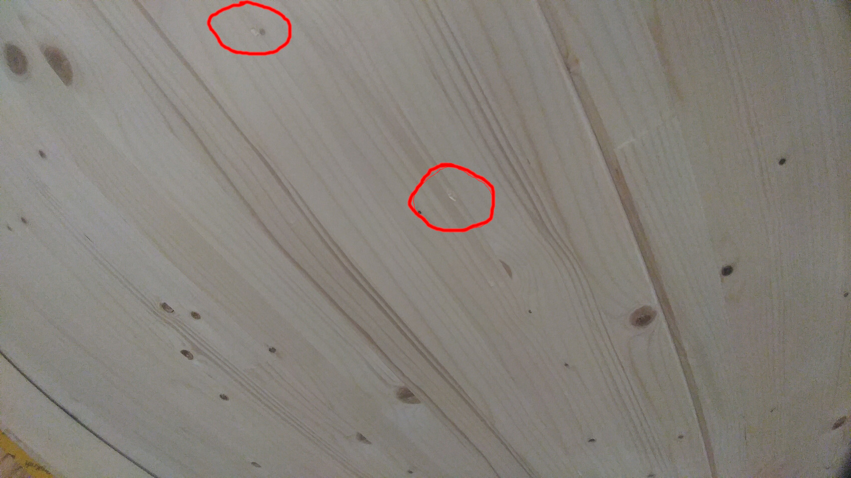 Holzboden oder Holzlatten mit Maserung; zwei kleine helle Flecken auf der Oberfläche.