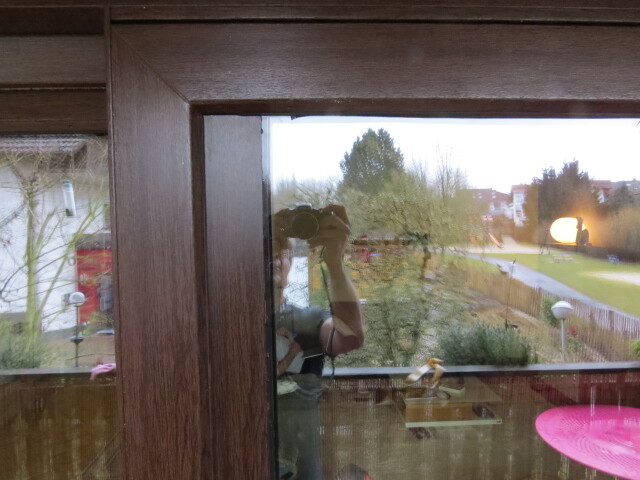 Reflexion einer Person mit Kamera im Glas eines dunklen Holzfensterrahmens; Blick nach draußen auf Garten und Park