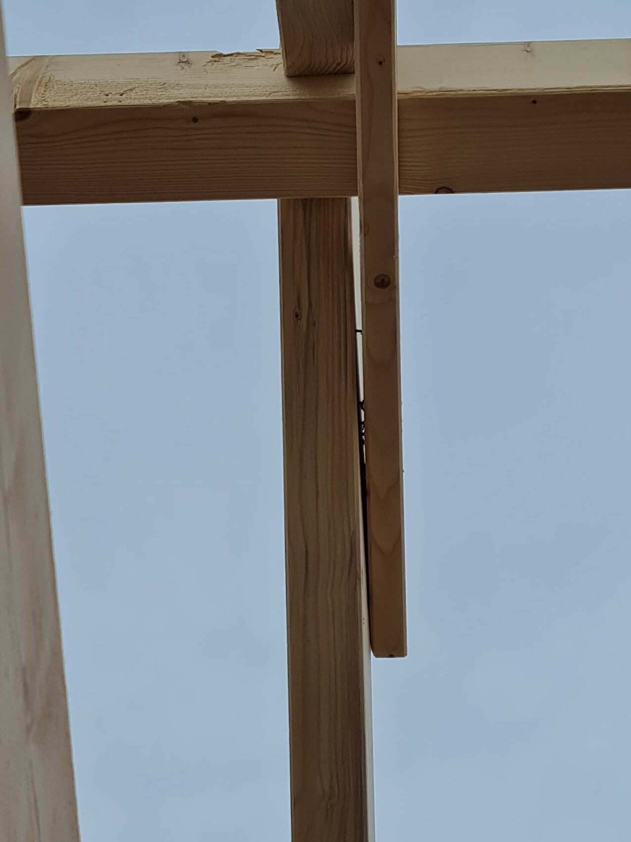 Holzständerwerk aus Balken vor blauem Himmel.