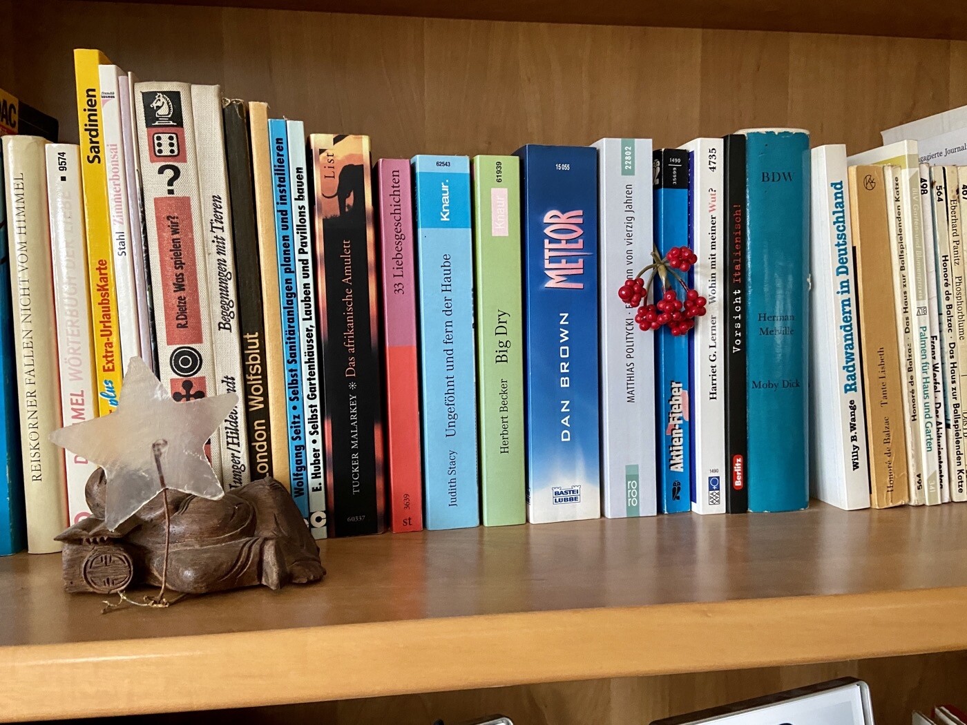 Bücherregal mit bunten Büchern; links eine Holzfigur mit Stern und Faden, rote Beeren am Buch