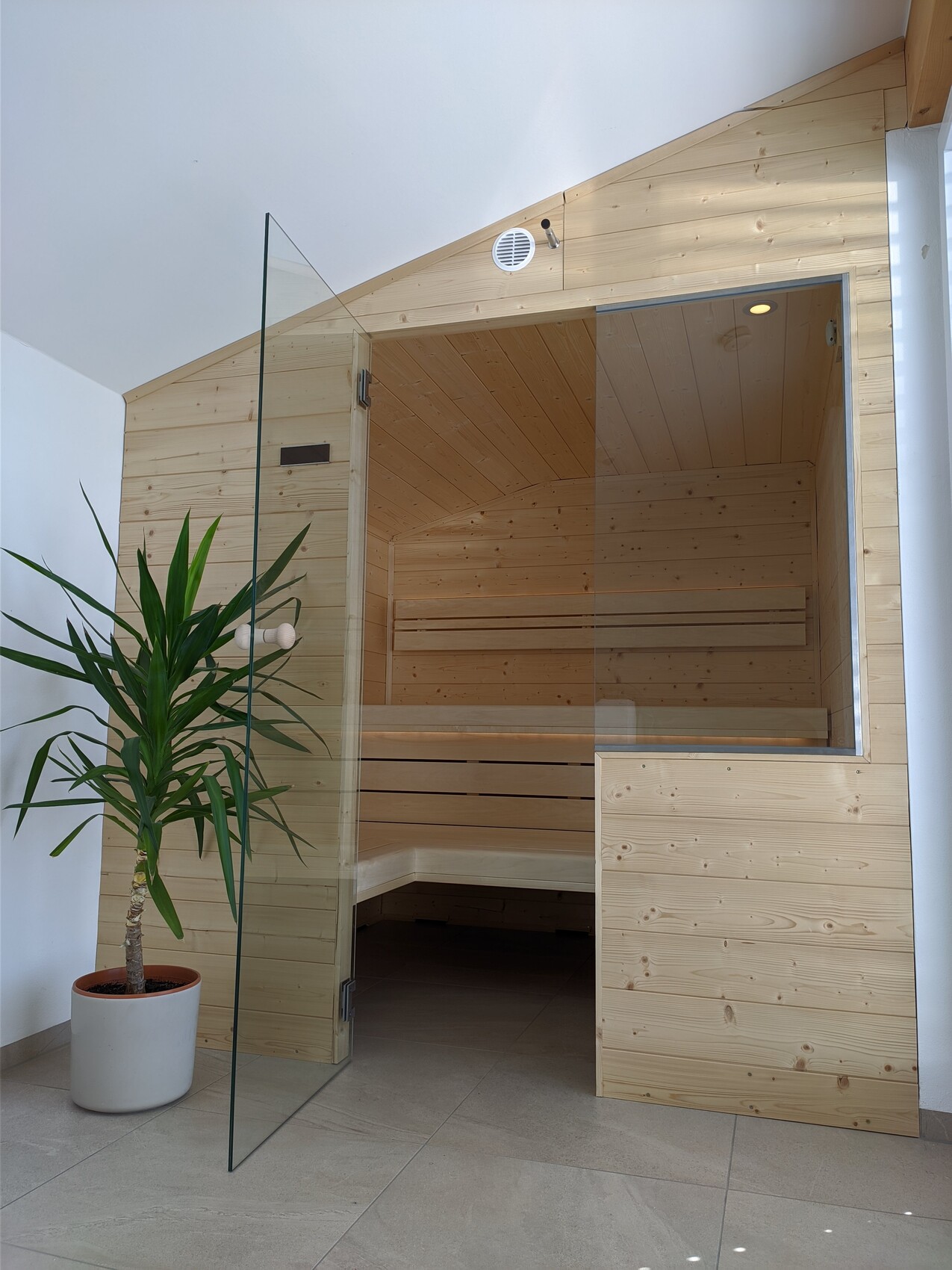 Kleine helle Holzsauna mit offener Glastür, Innenraum aus Holz und Bänken; Pflanze im Vordergrund.