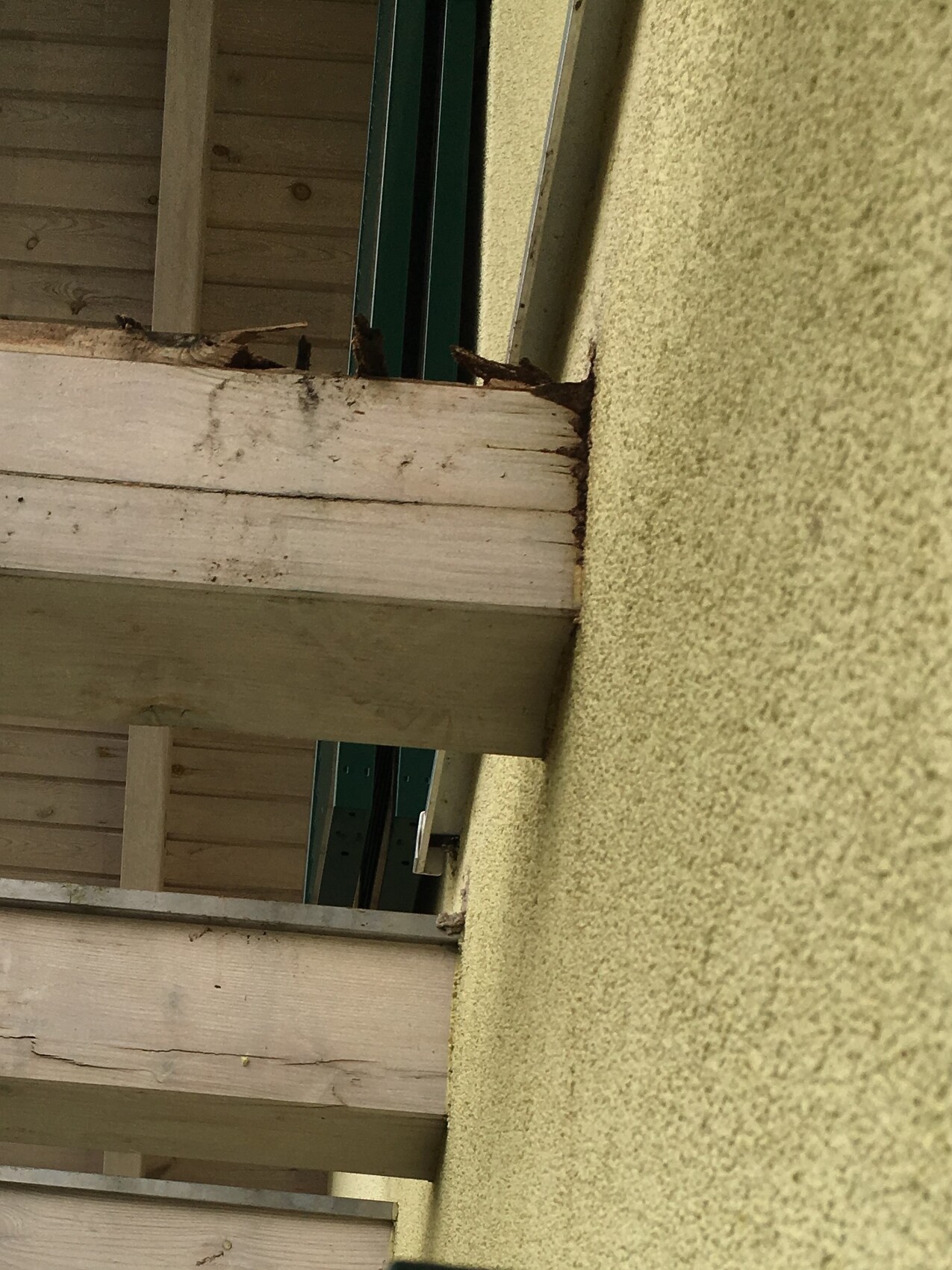 Beschädigter Holzbalken am Balkon mit Baumängel und Feuchtigkeit.