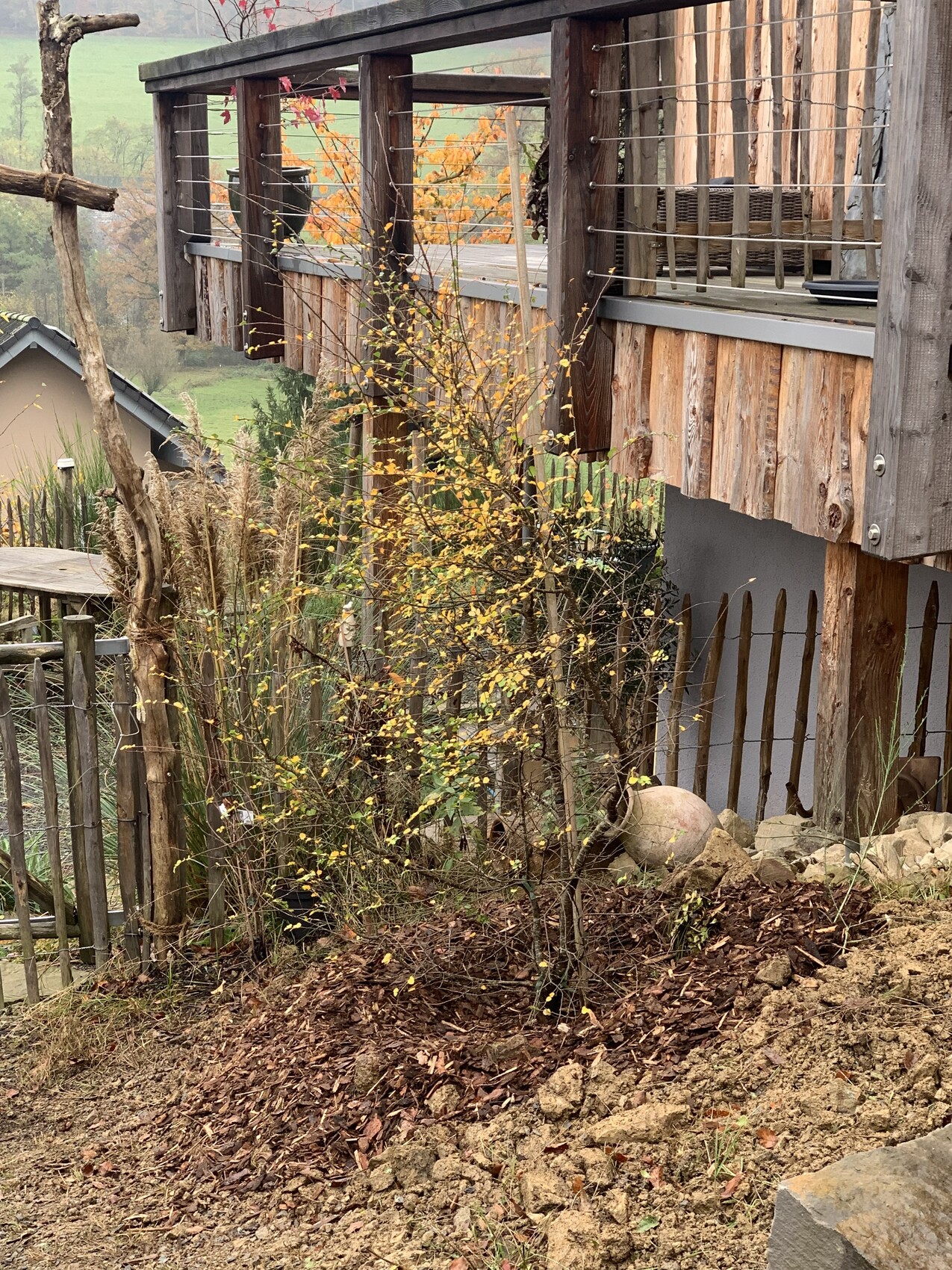 Holzdeck am Hang mit Geländer; Vordergrund kleiner Busch mit gelben Blättern, Erde und Steinen.
