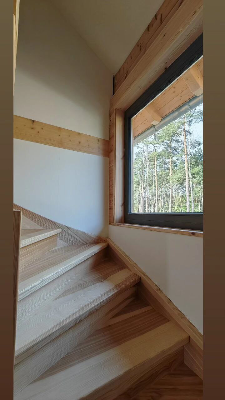 Hölzerne Treppe in hellem Innenraum, Fenster mit Blick auf Wald außerhalb.