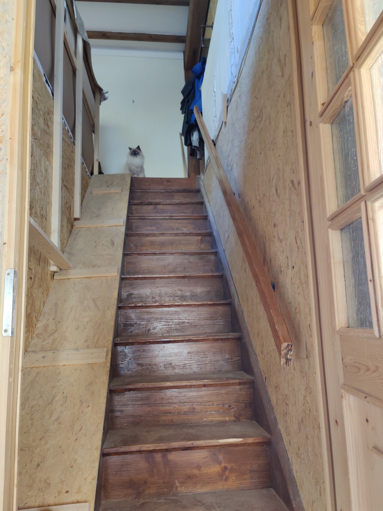 Holztreppe in Renovierung, Katze sitzt oben am Geländer im Haus
