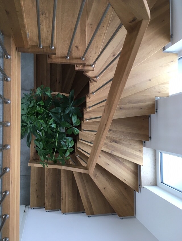 Holzspiraltreppe im Innenraum mit Pflanze in der Mitte und Metallgeländer
