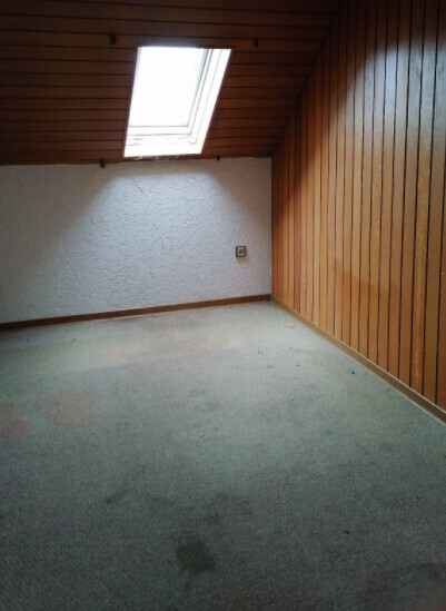 Leerer Dachbodenraum mit Holzverkleidung, Dachfenster und grauem Teppichboden.