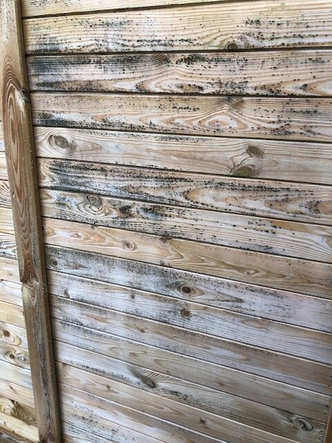 Außenholzverkleidung aus gestrichenen Holzbrettern mit Witterungsspuren.