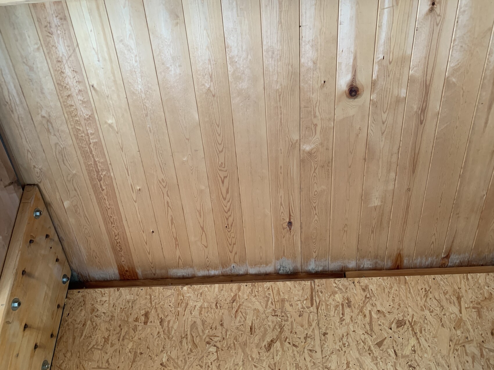 Innenraum mit vertikalen Holzdielen; unten Feuchtigkeit und Schimmelrand an der Wandkante.