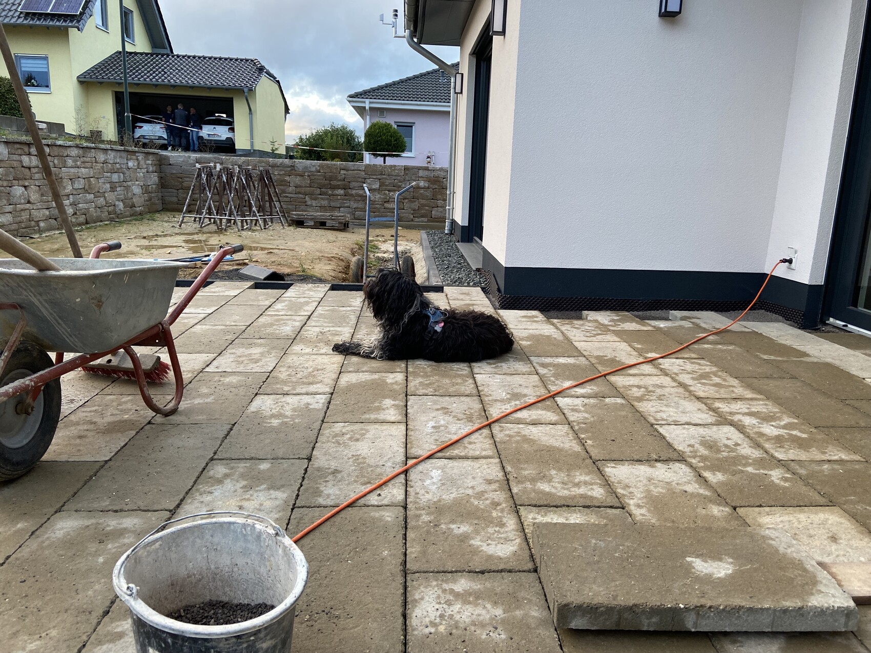Hund liegt auf gepflasterter Terrasse vor Neubau, Bauwerkzeuge im Hintergrund.