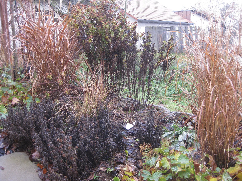 ideen-fuer-aussenanlage-garten-galabau-vorschlaege-tipps-294628-1.jpg