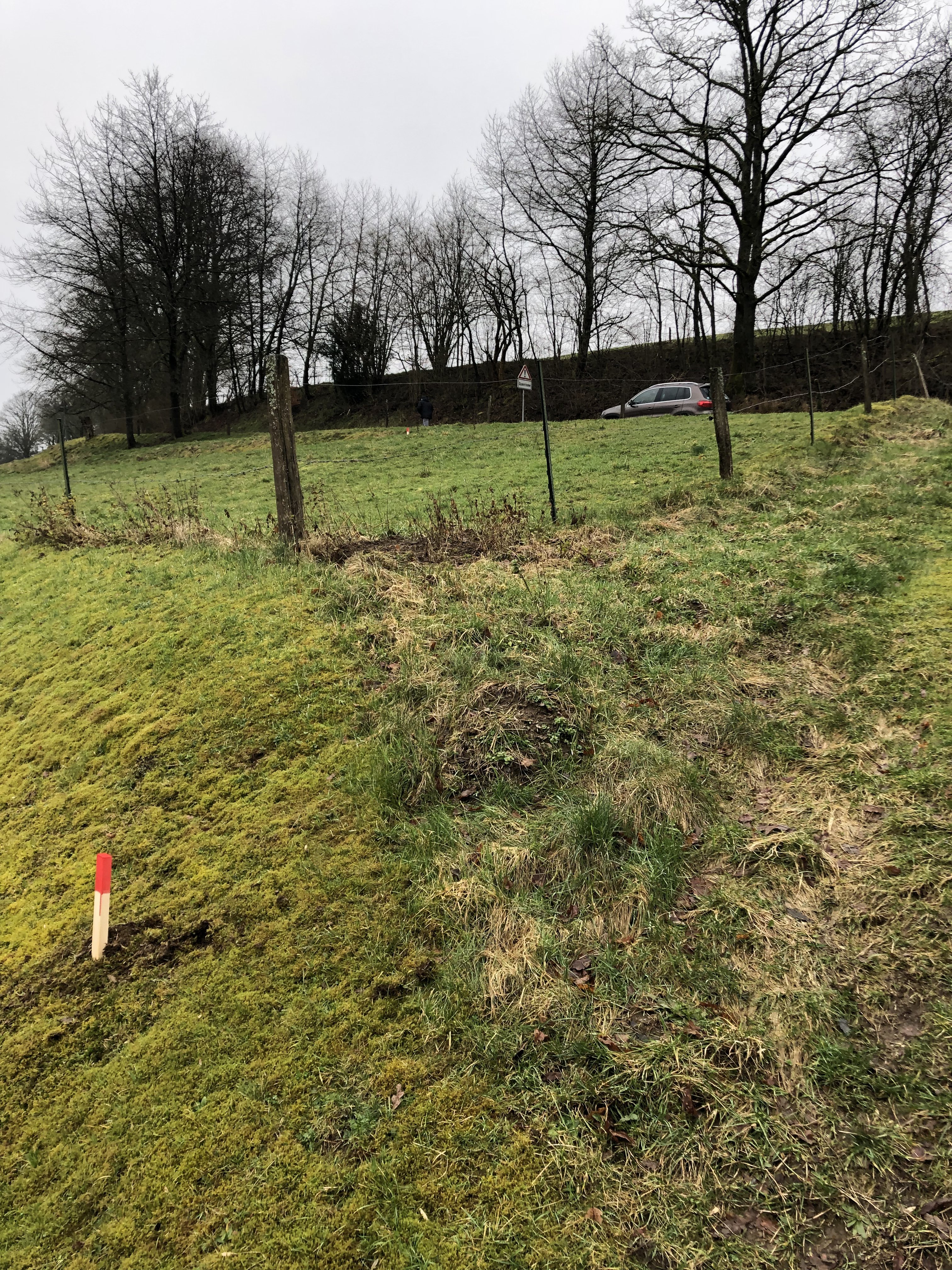 ideen-grundstueck-einfamilienhaus-387228-2.jpeg