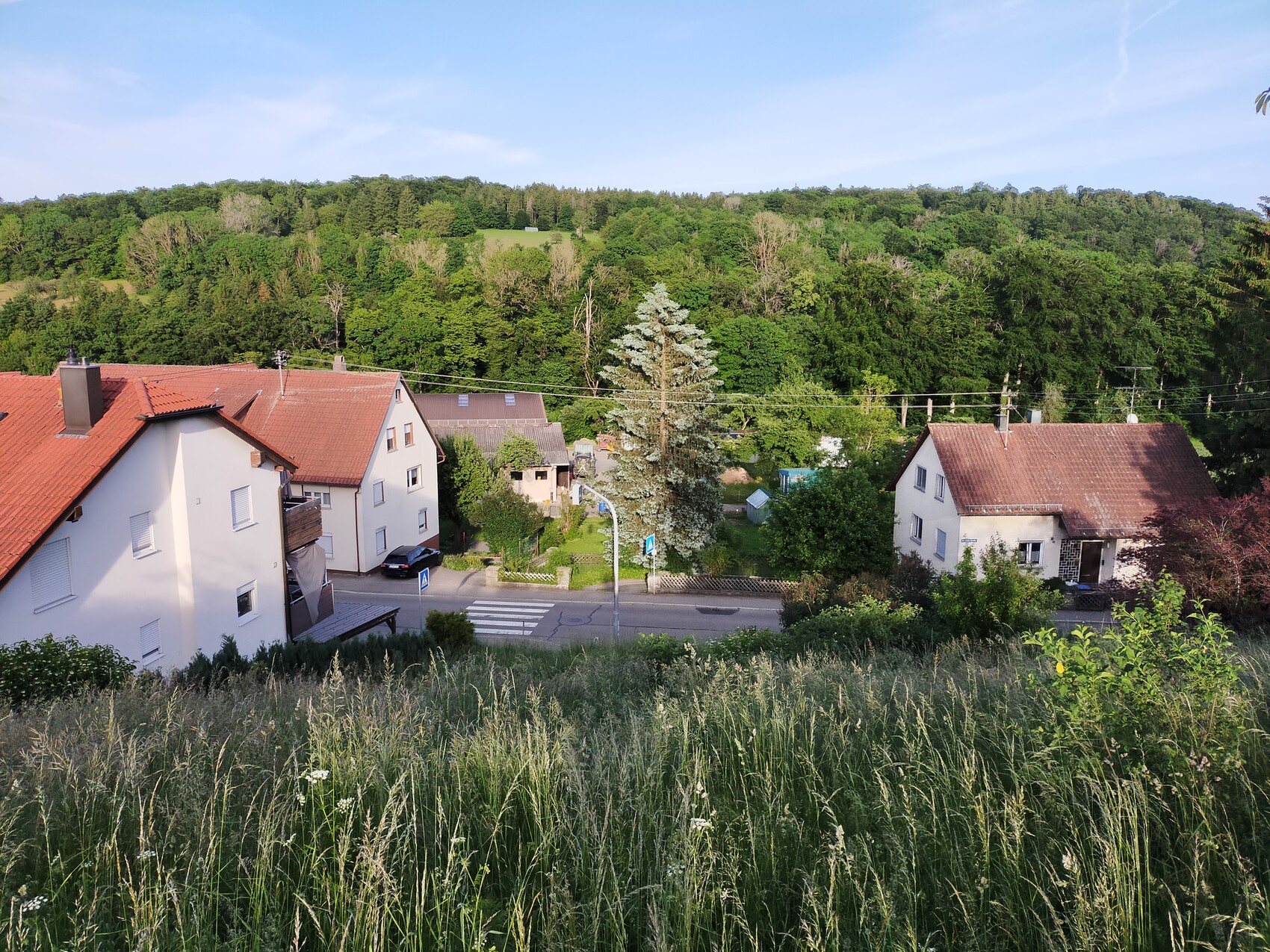Blick auf ein kleines Dorf mit roten Dächern, weißen Häusern, Gras im Vordergrund und Wald dahinter.