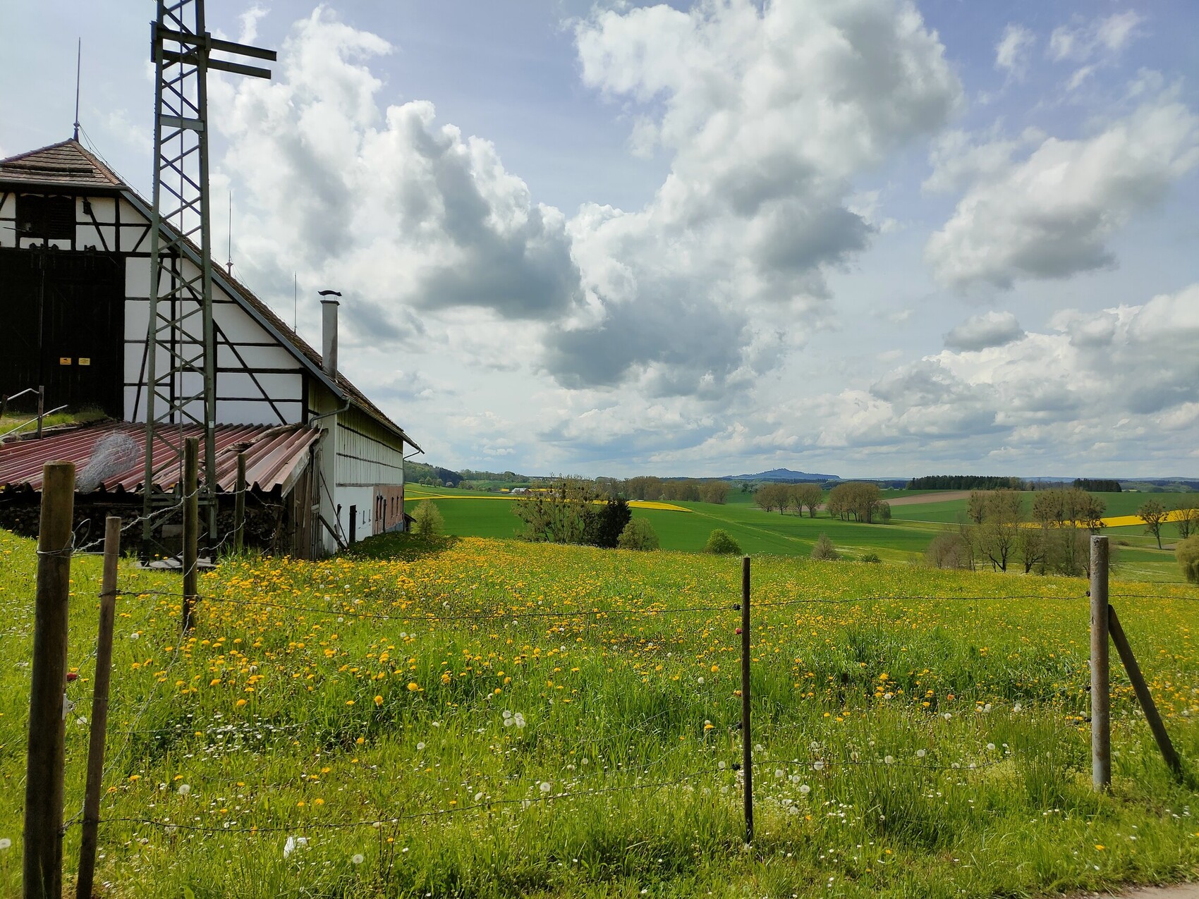 Ländliche Scheune mit rotem Dach am Feldrand, Gelbe Blumen im Gras, Zaunpfosten im Vordergrund.