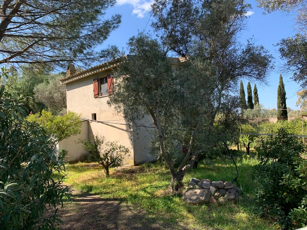 Mediterranes Haus mit rotem Fensterladen, Olivenbaum und Steinmauer im Garten.