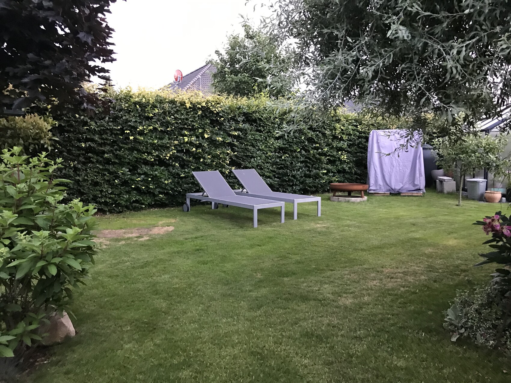 Garten mit zwei grauen Liegestühlen auf Rasen, dahinter eine Hecke.