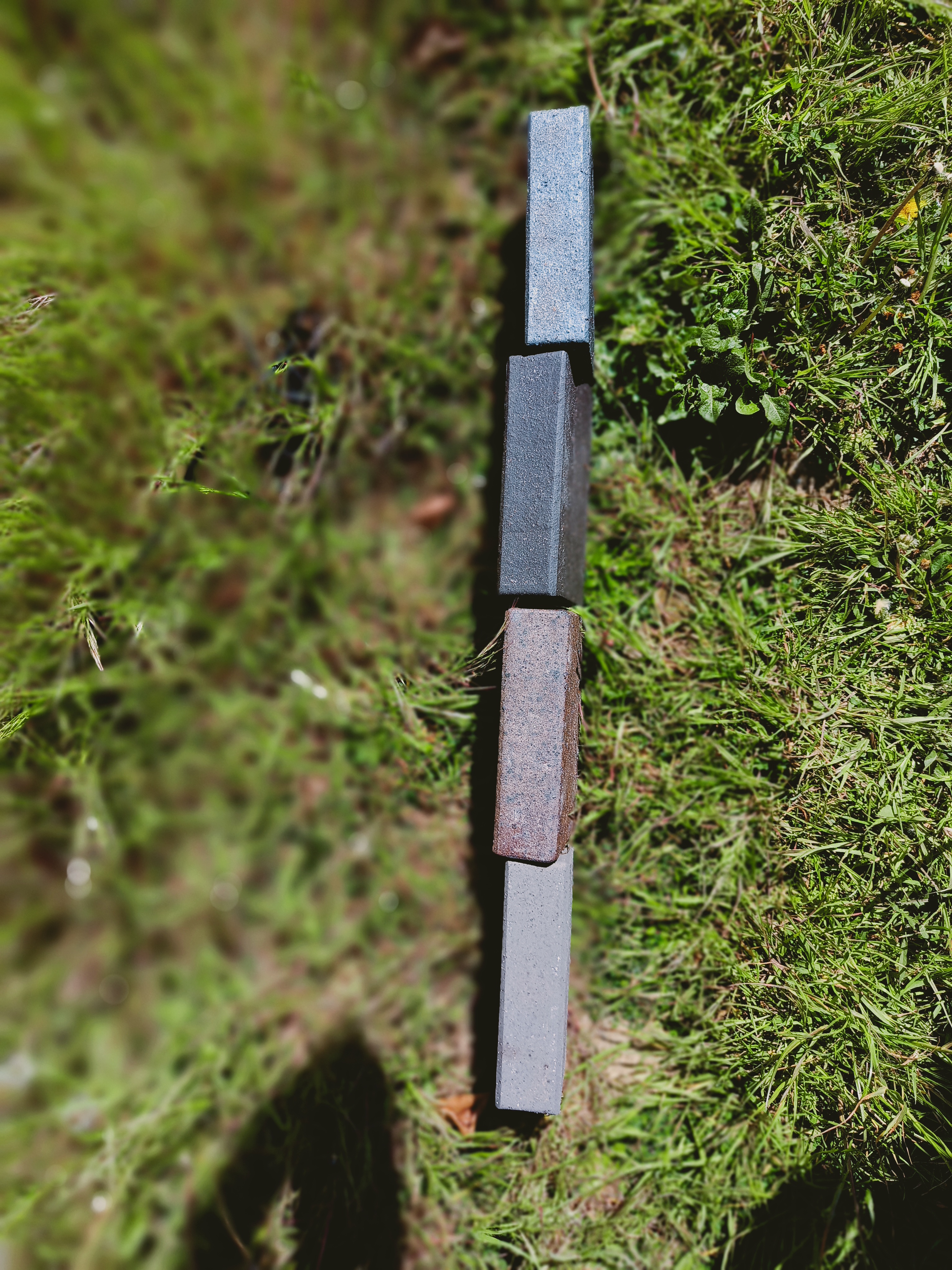 IMG20220503104732_Bokeh.jpg