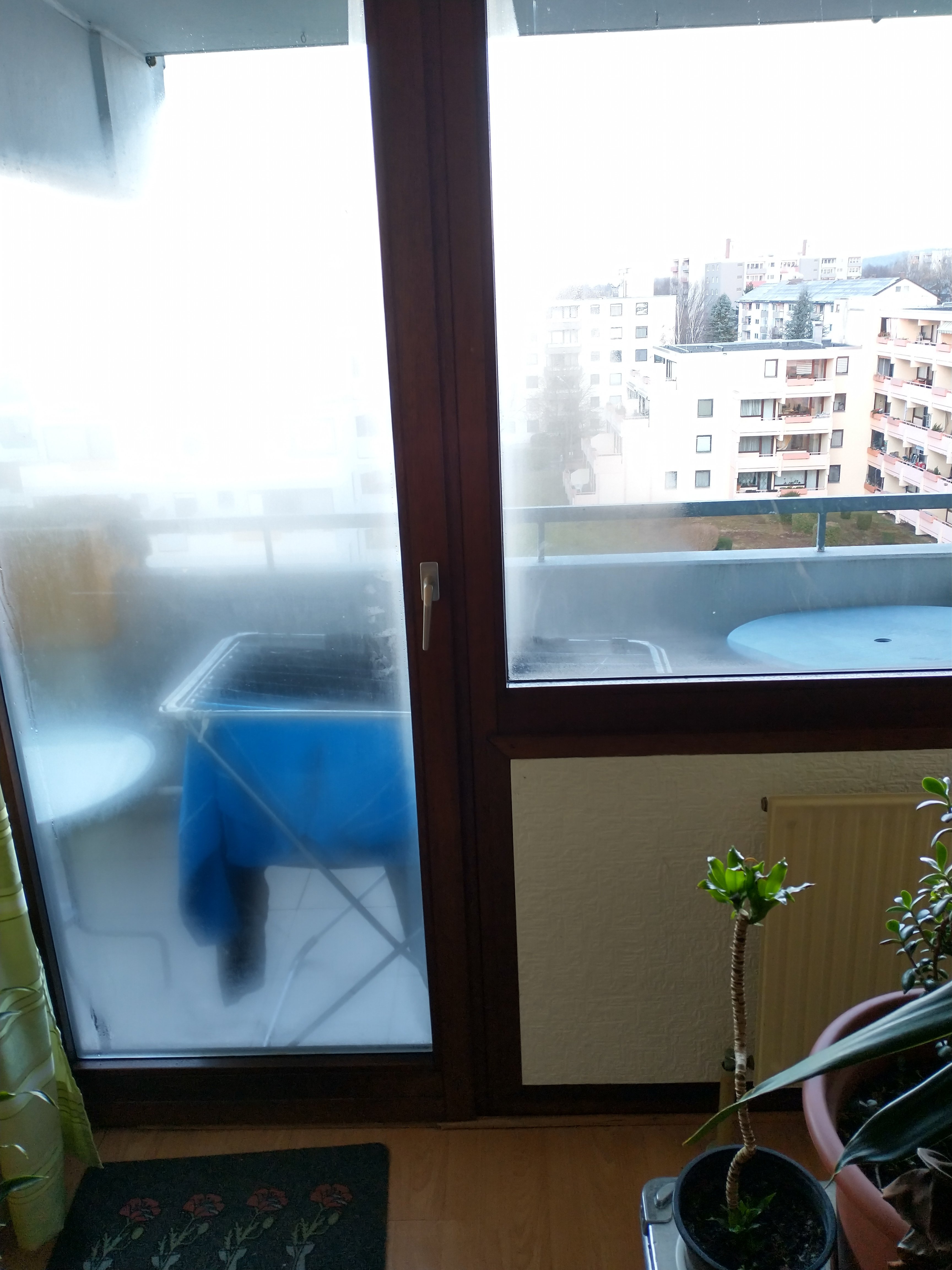 IMG_20220111_082432053_HDR.jpg