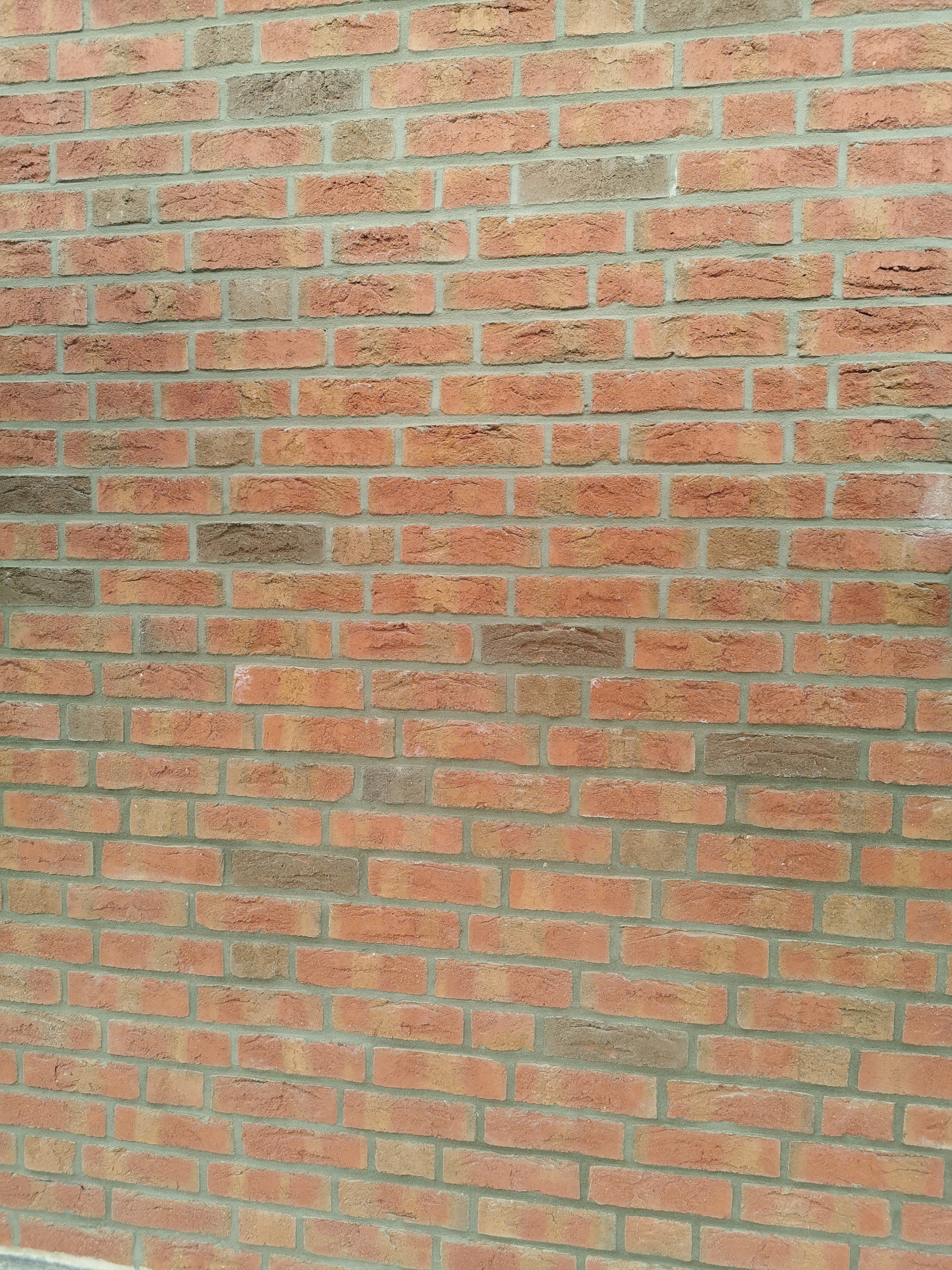 IMG_20220503_153250.jpg