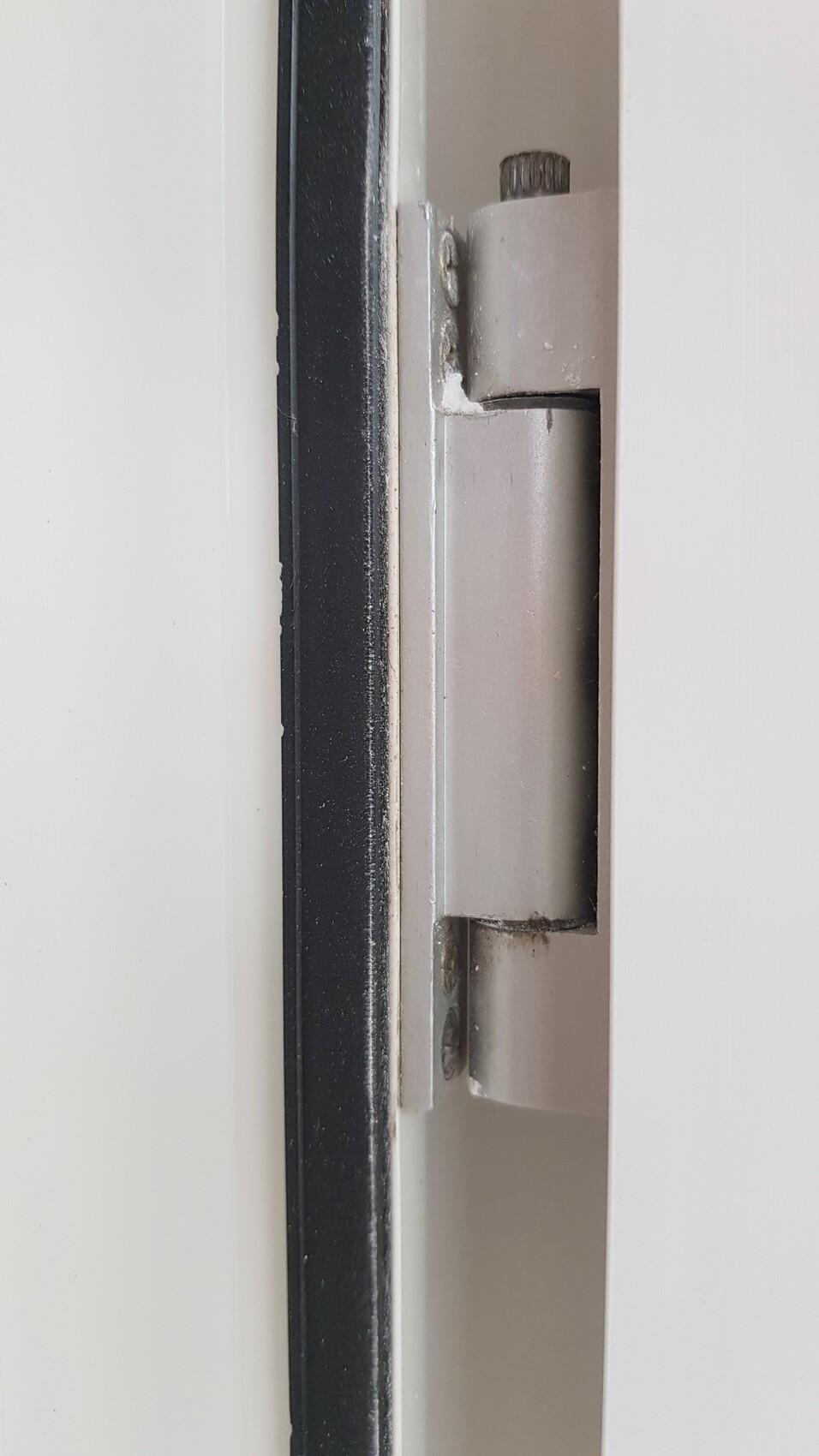 Nahaufnahme eines Türscharnieres aus Metall, grau, an weißem Türrahmen mit Schrauben.