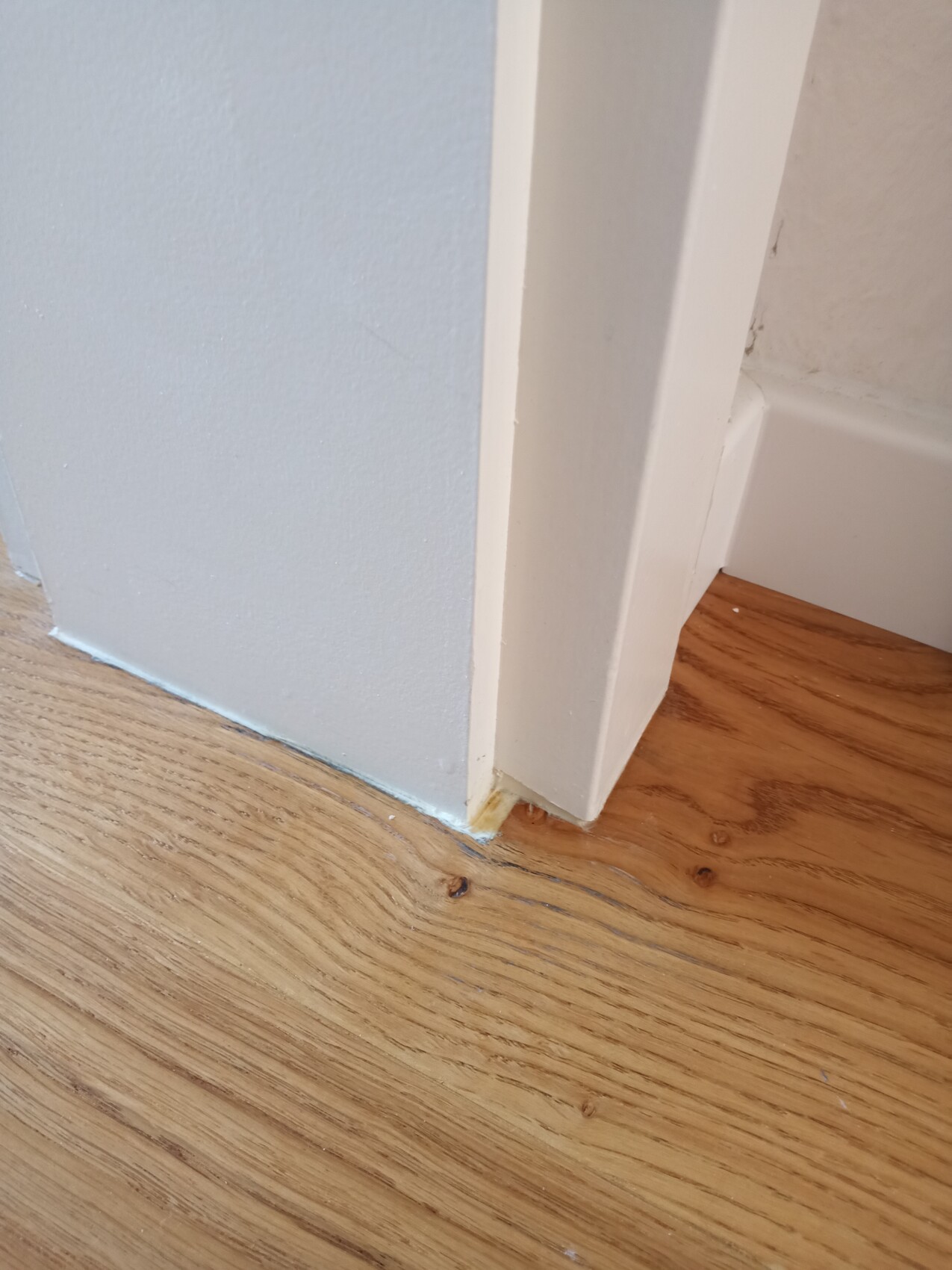 Ecke eines Zimmers mit hellblauer Wand, weißem Türrahmen/Zierleiste und Holzboden.