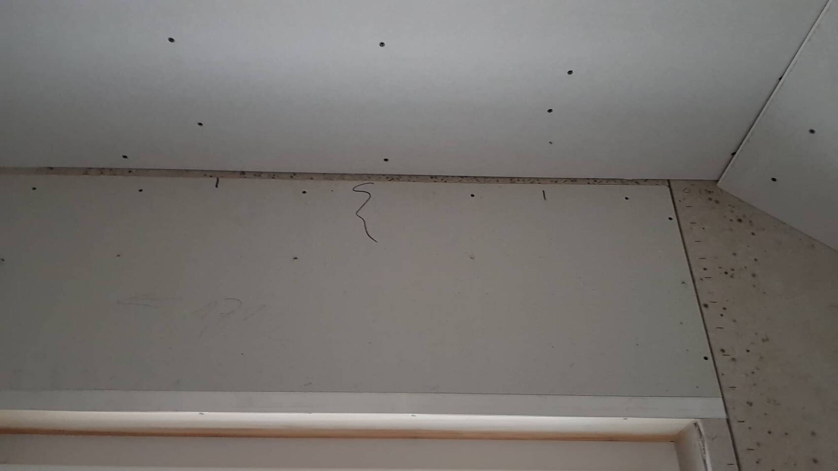 Unbearbeitete Innenwand aus Trockenbauplatten mit Schrauben sichtbar im Baufortschritt