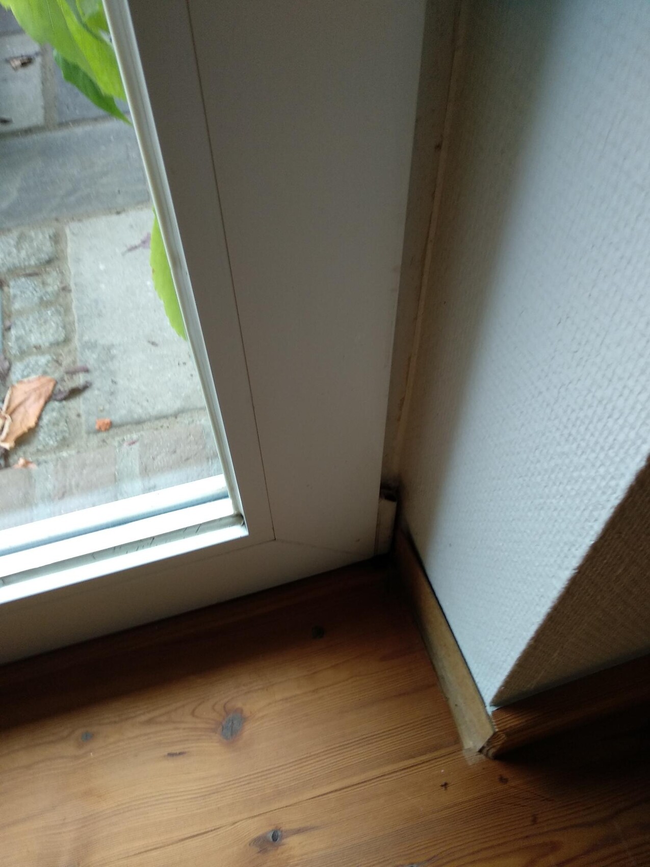 Weiße Türrahmen-Ecke am Innenraum mit Holzfußboden, Blick nach außen auf Pflaster und Blätter.